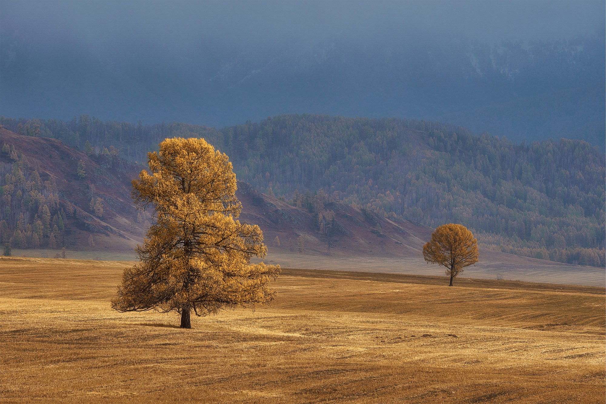 Landscape photographer Aleksandr Chekhonin