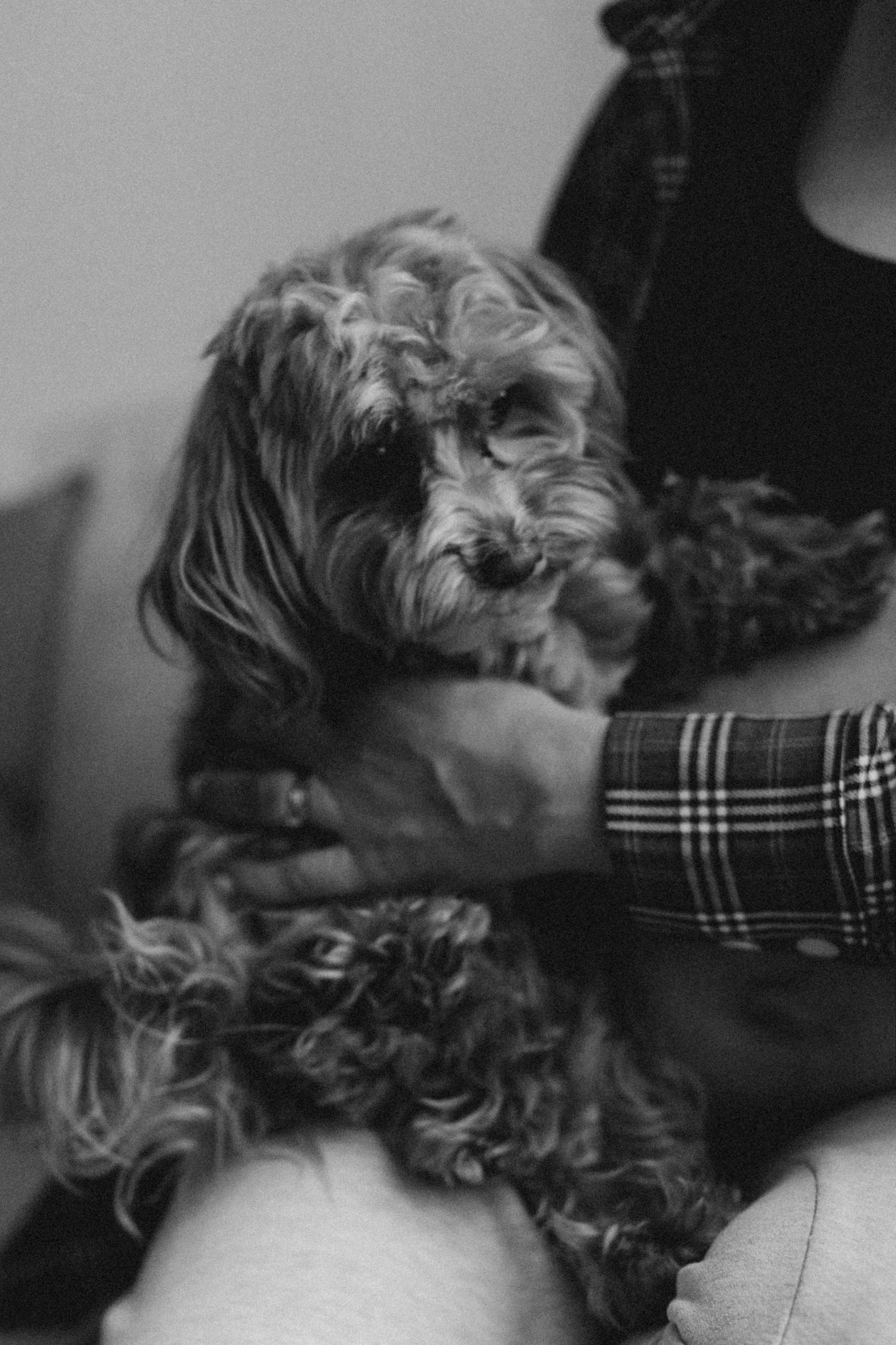 Алеся Стеша. Семейный фотограф в Минске и РБ Стеликова Анна