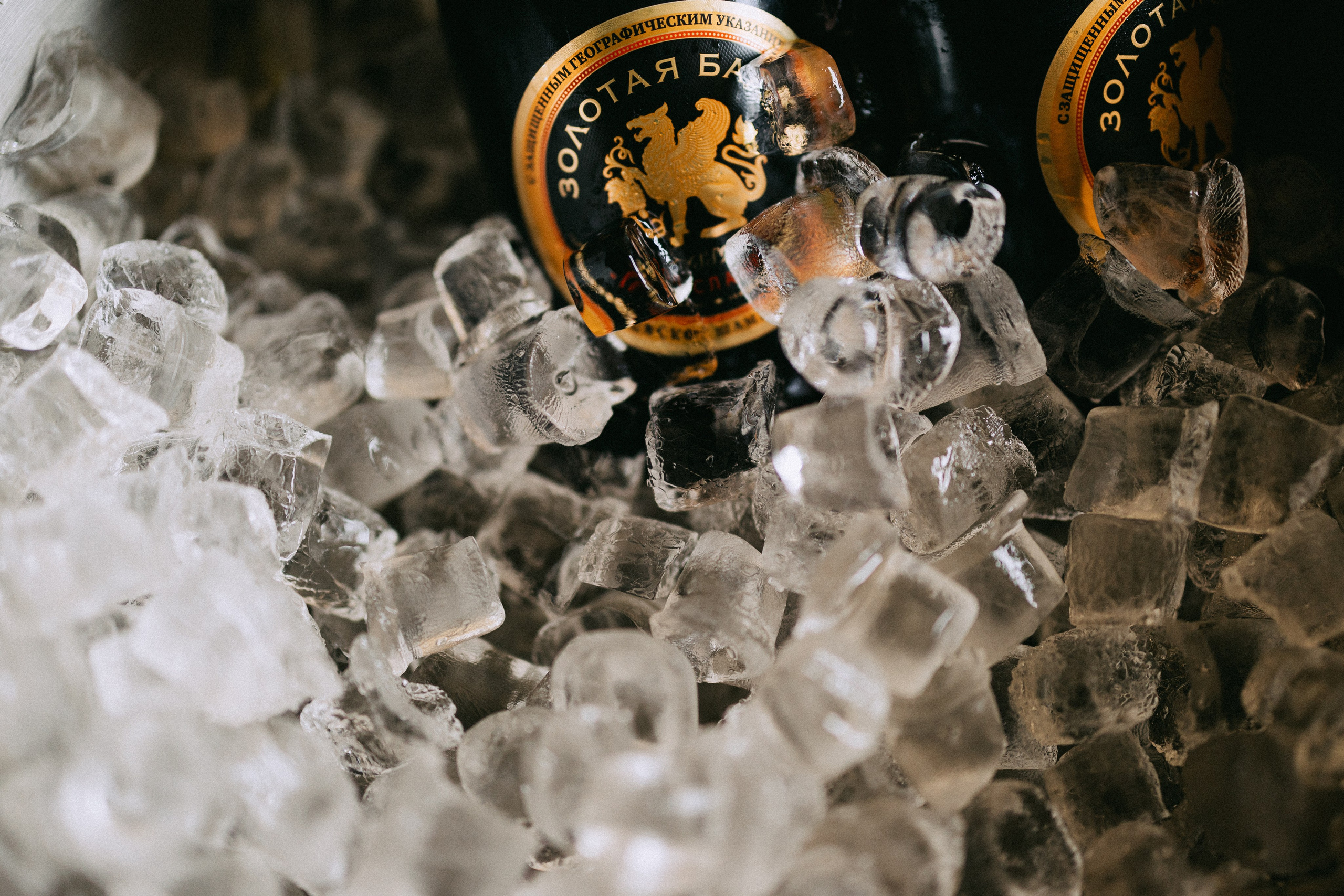 Лиза и Митя. Daria Chigintseva Photographer