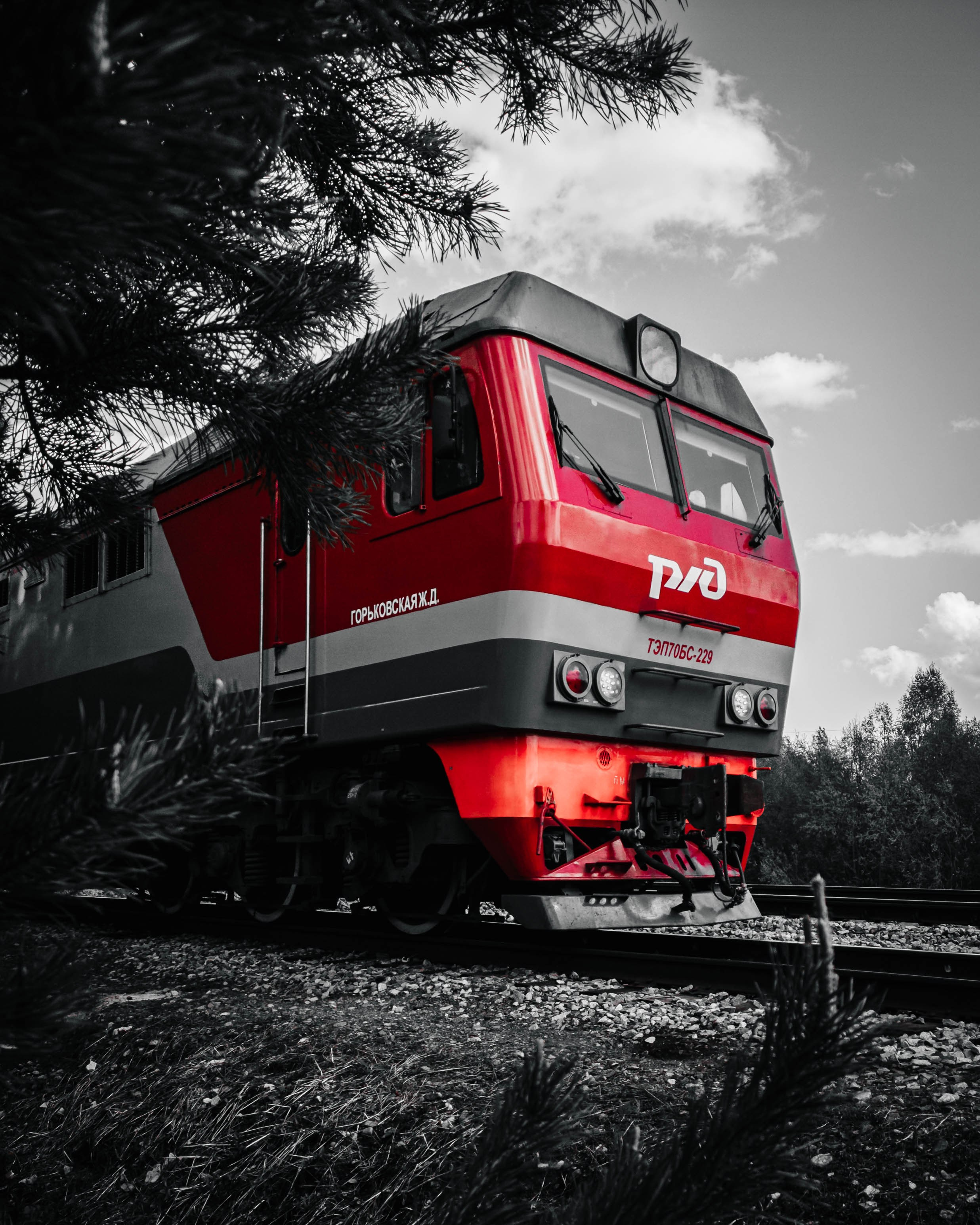 RED. Красный и точка. Олег Романов. Мастер фото по спорту