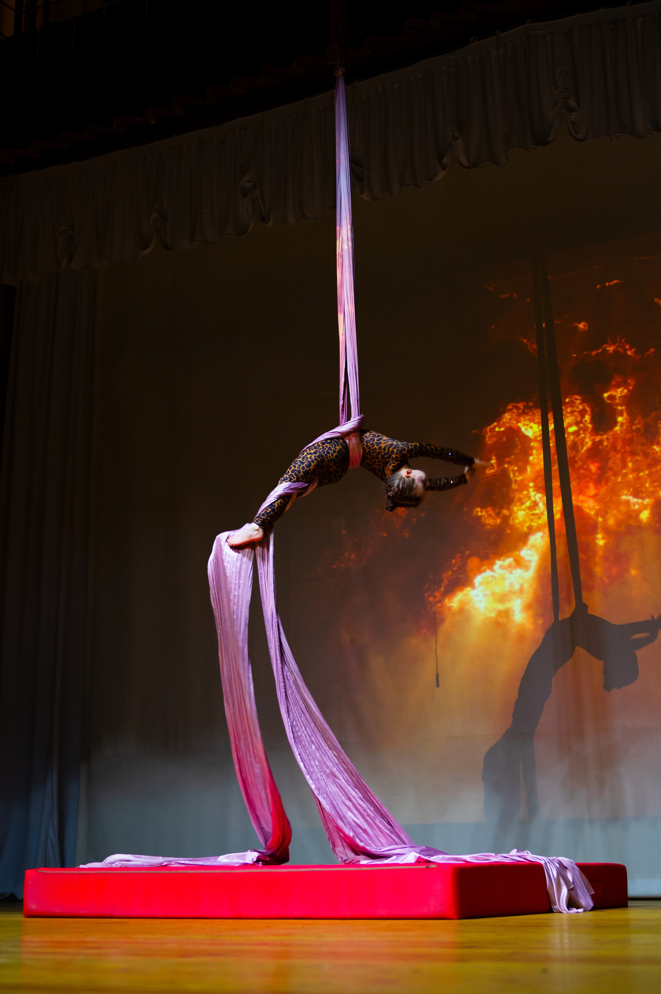 Грация. Главная