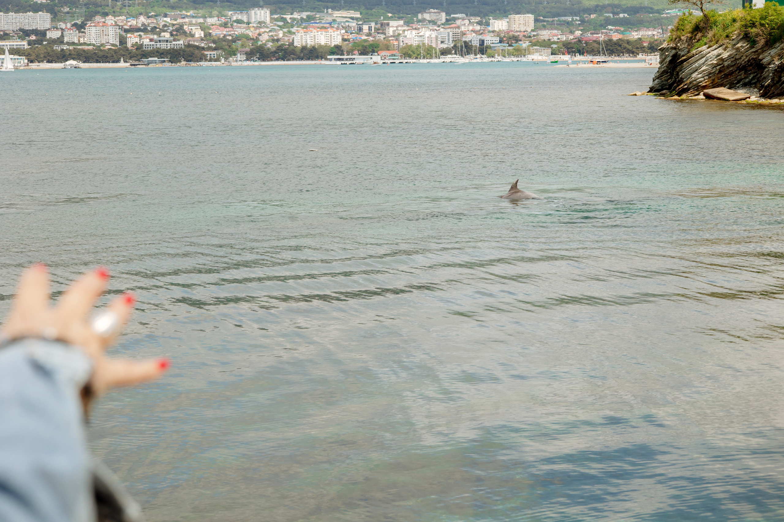 Татьяна. Фотограф в Геленджике, Архипо-Осиповке, Абрау-Дюрсо, Кринице Виктория