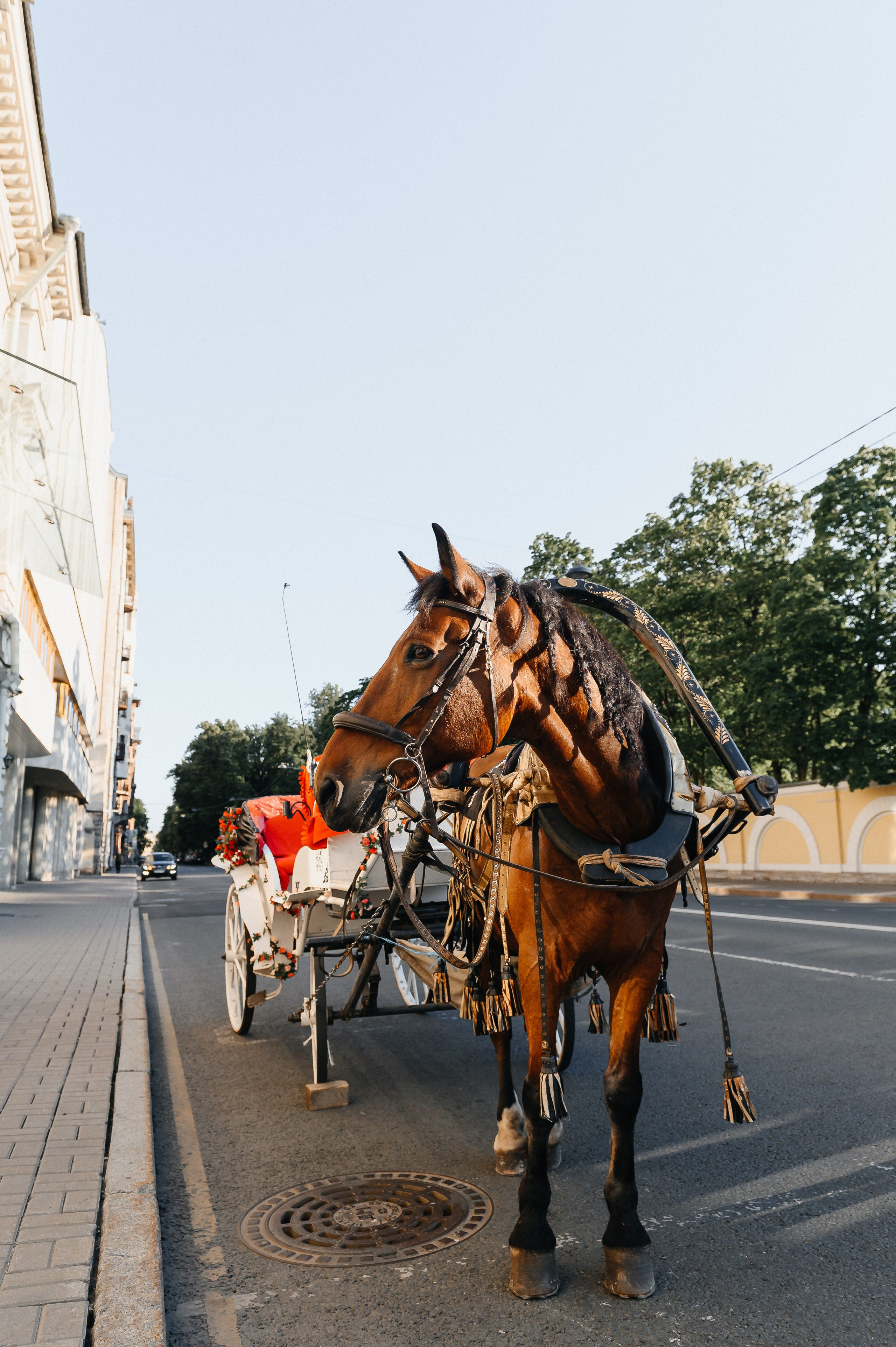Леонид и Александра. Свадебный и семейный фотограф в Санкт-Петербурге Александр Озеров