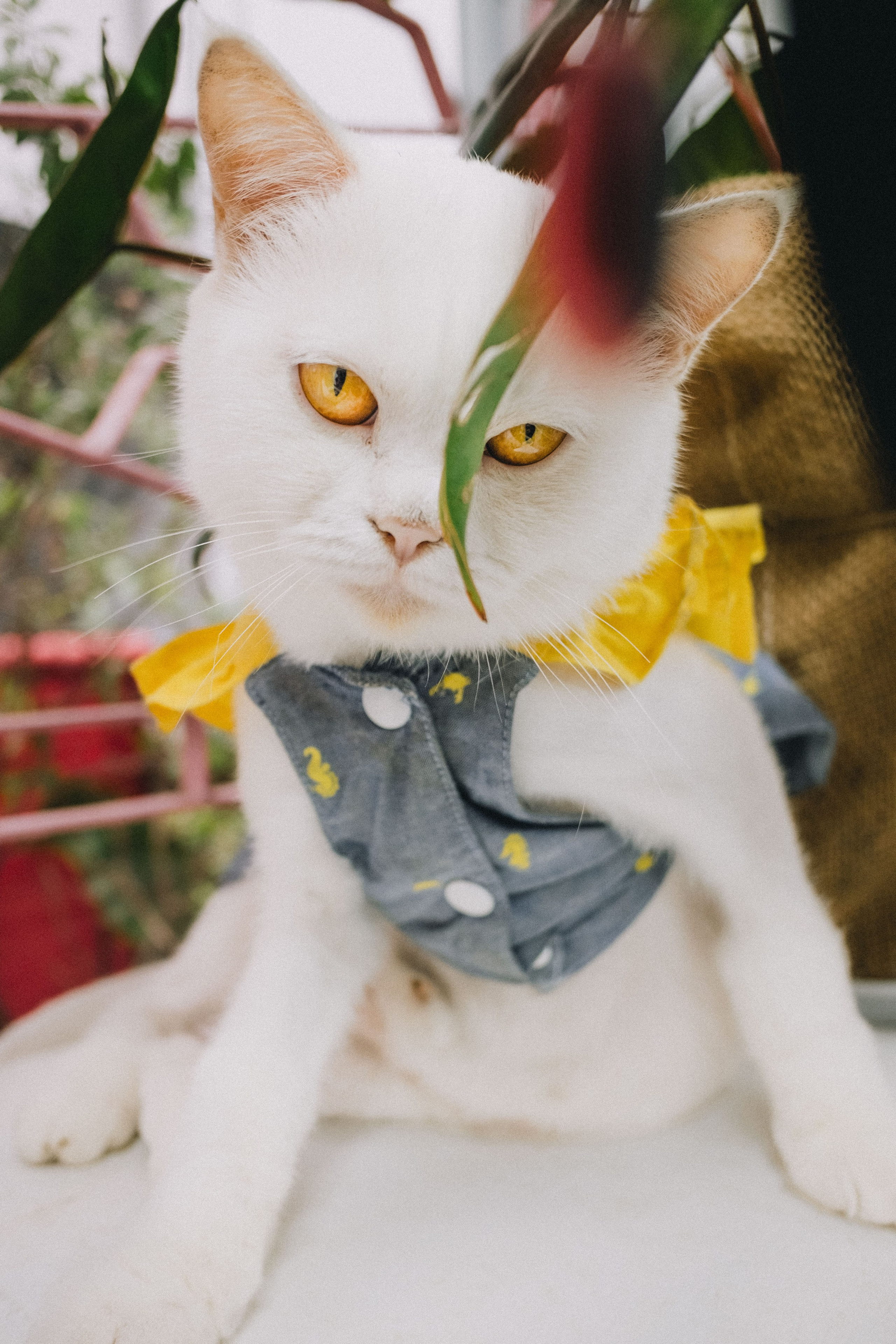 ЖИВОТНЫЕ. Misha Light ✨ Photography