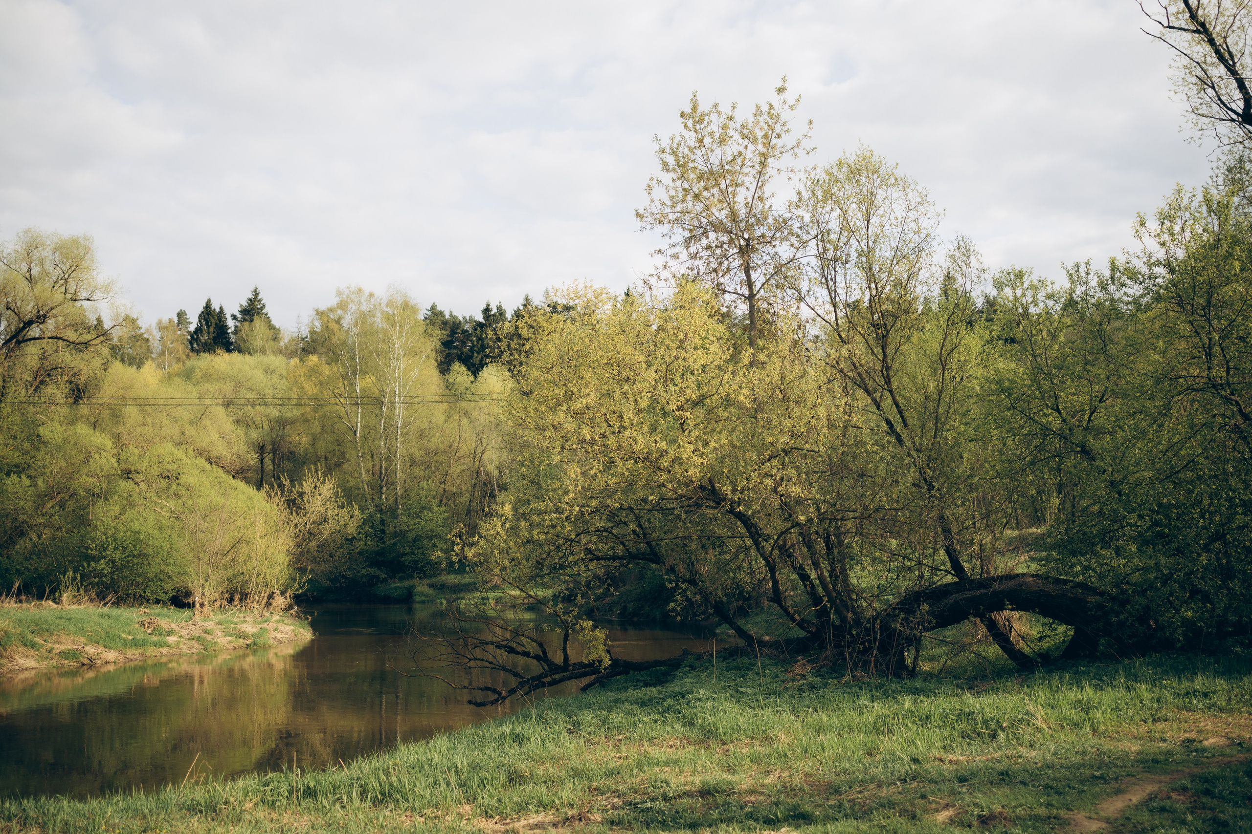 Istra. Женский фотограф Истра