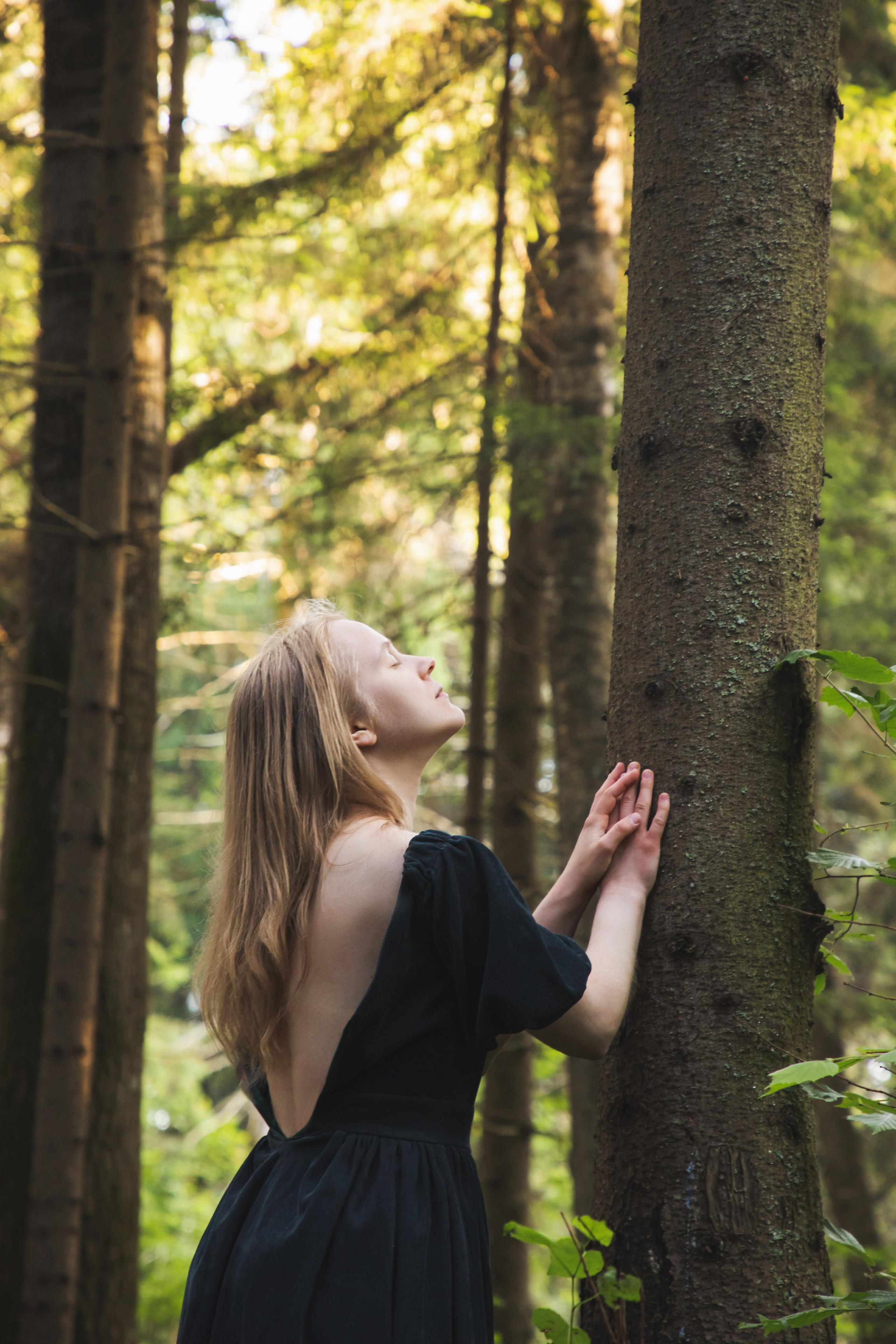 Рассветная в лесу. Юлия Башкатова, сказочный фотограф, Москва