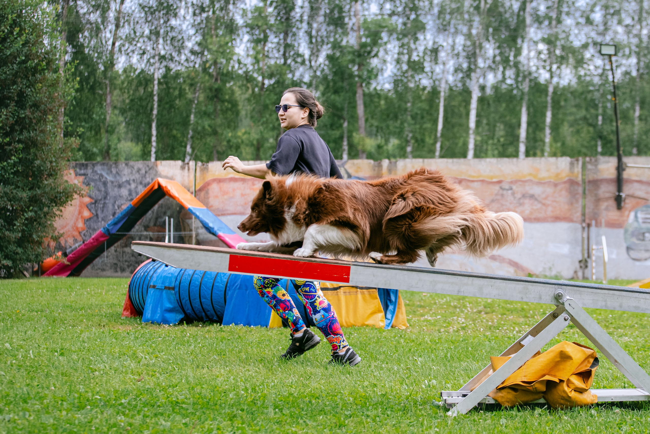Соревнования по аджилити Долгопрудный 30.06.2025. Фотограф-анималист Татьяна Степанова