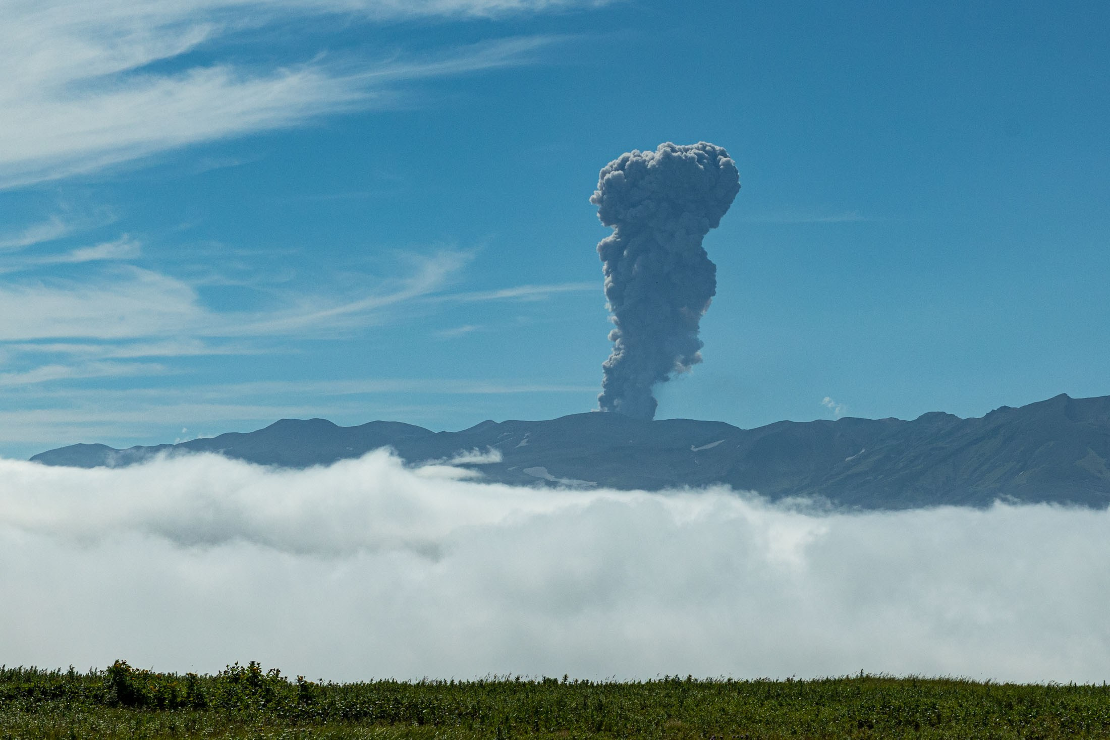 Экспедиция по Северным Курильским островам с Vasta. Фотограф Красная Поляна — Сочи — Москва