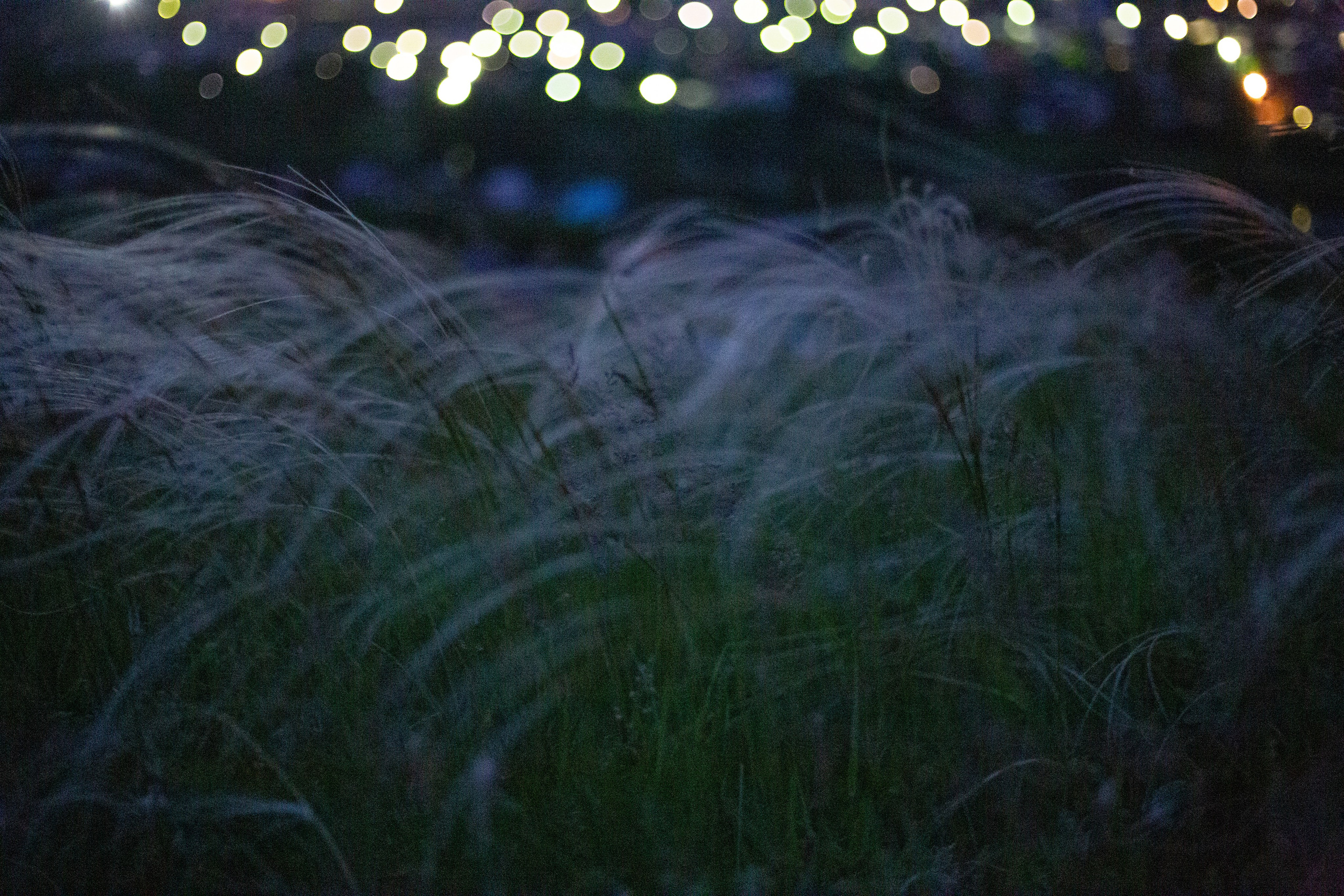 Виды Перми и окрестностей. Фотограф Никита Попов. Фотограф Пермь. Фотосессия в фотостудии Перми и на свежем воздухе