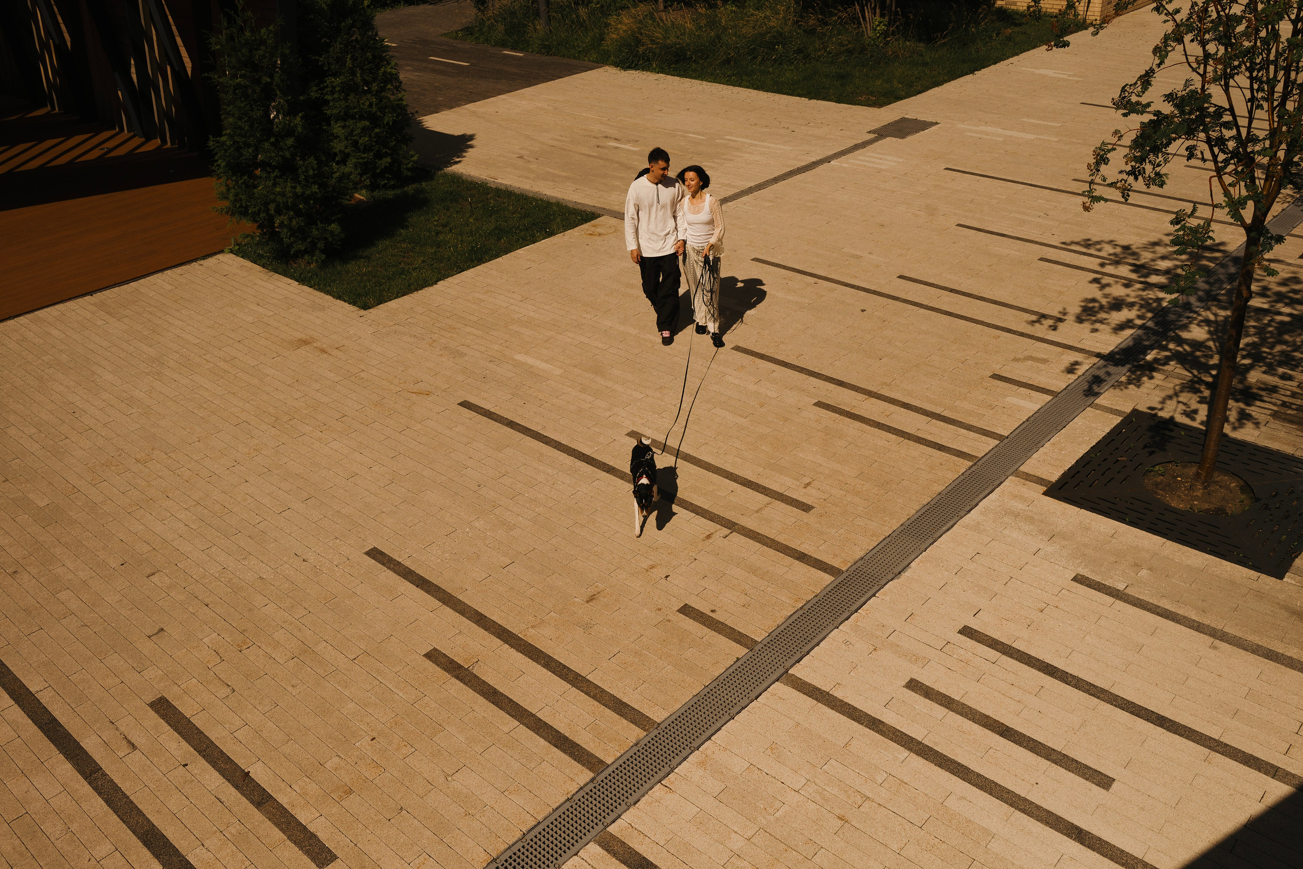 Златан. Фотограф- анималист Александра Матвеева