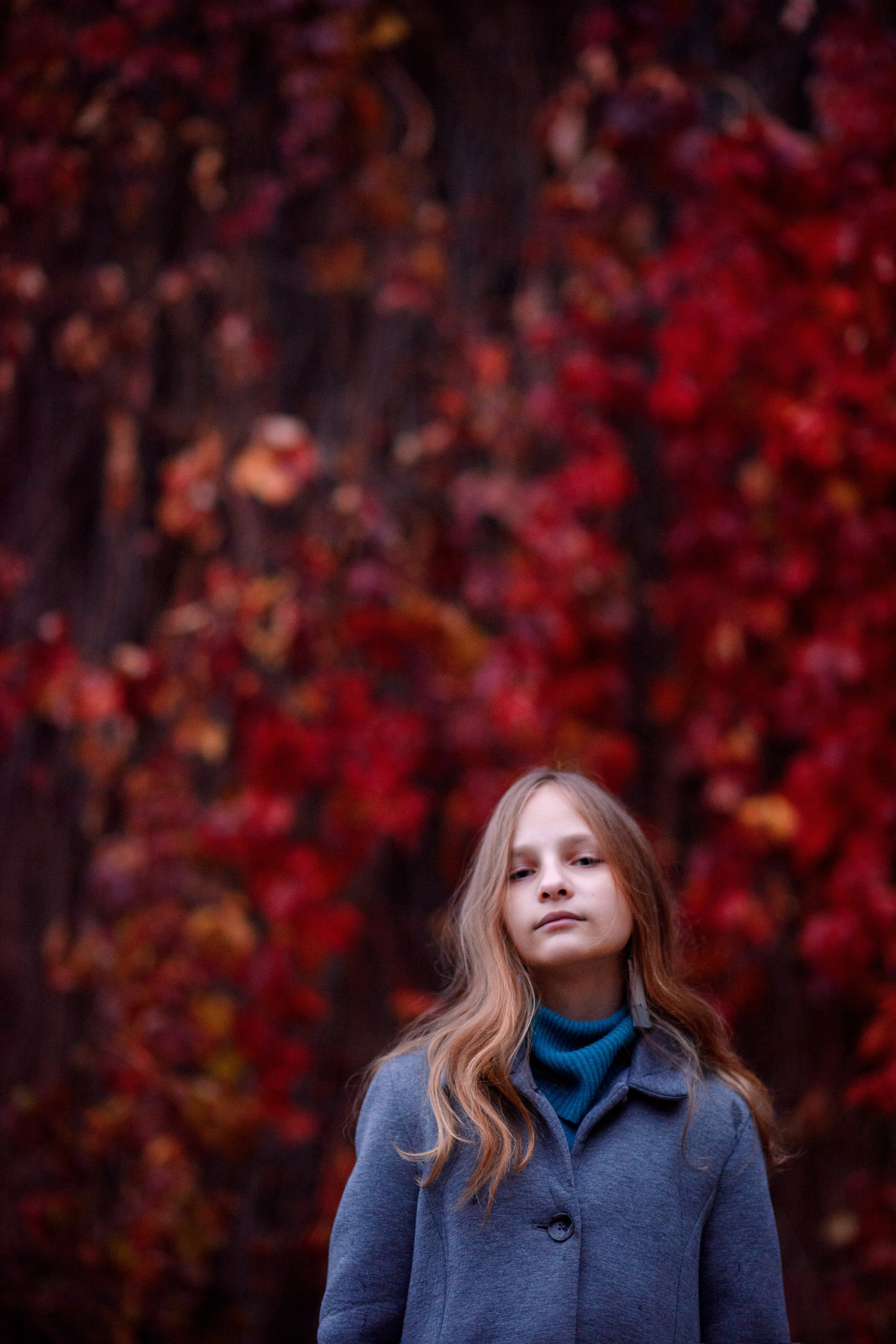 Фотосессия на фоне красного дикого винограда. Главная