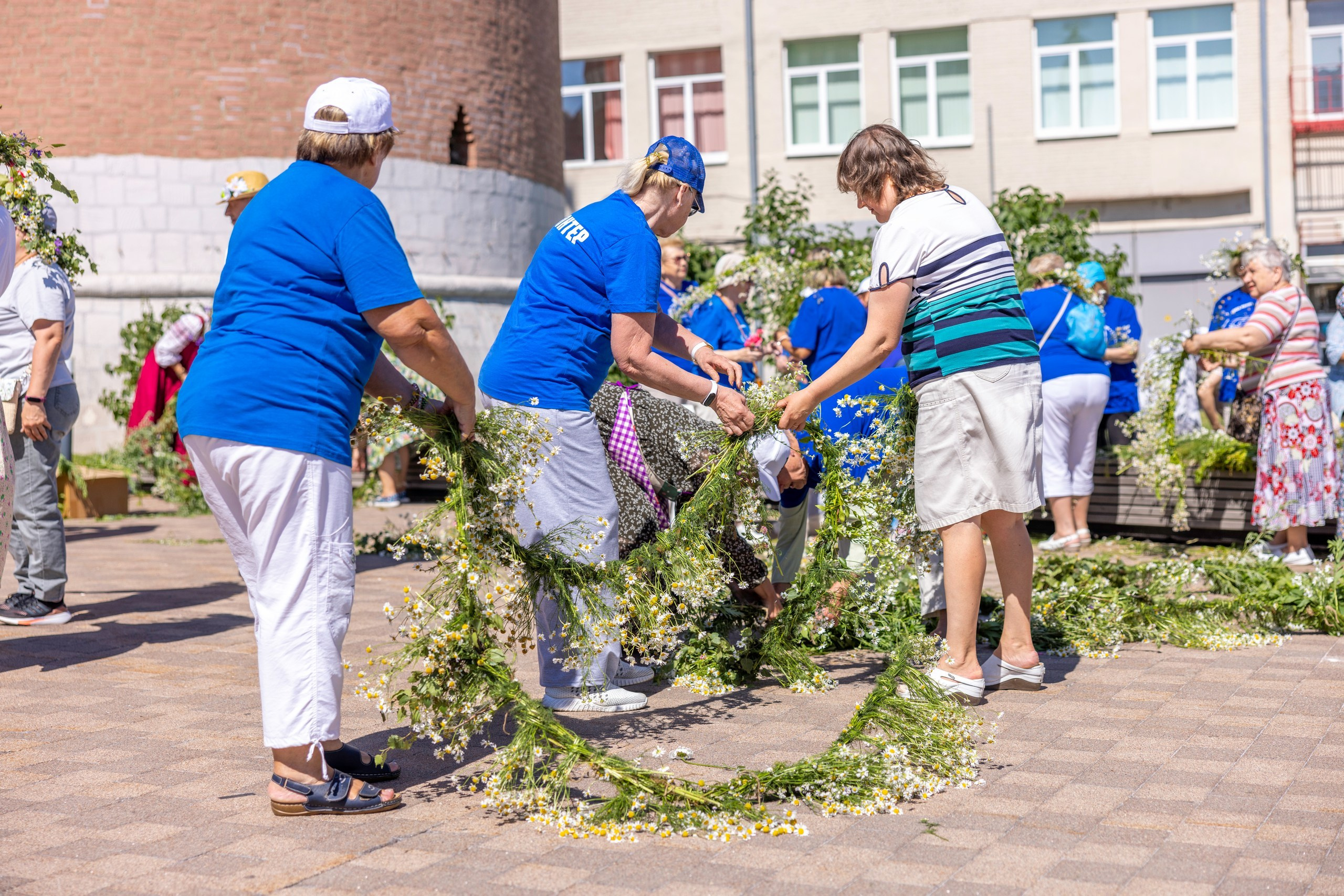 Фестиваль «Ромашковый хоровод». Северная ходьба. Фотограф в Туле Крупский АнДРей. Фотостудия «КАДР71» в Туле