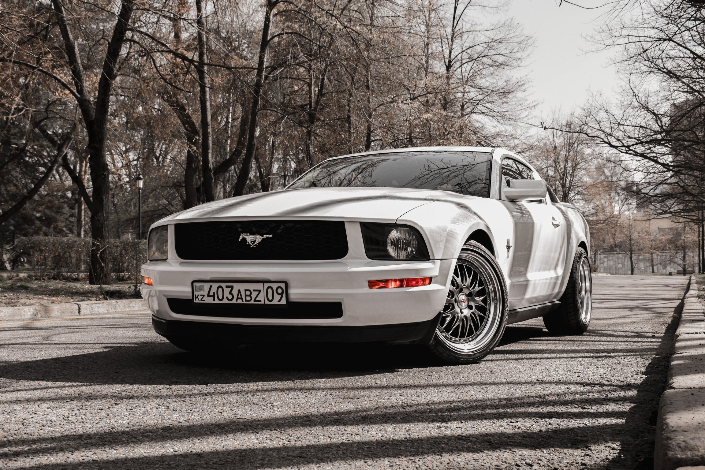 Авто. Фотограф в Алматы