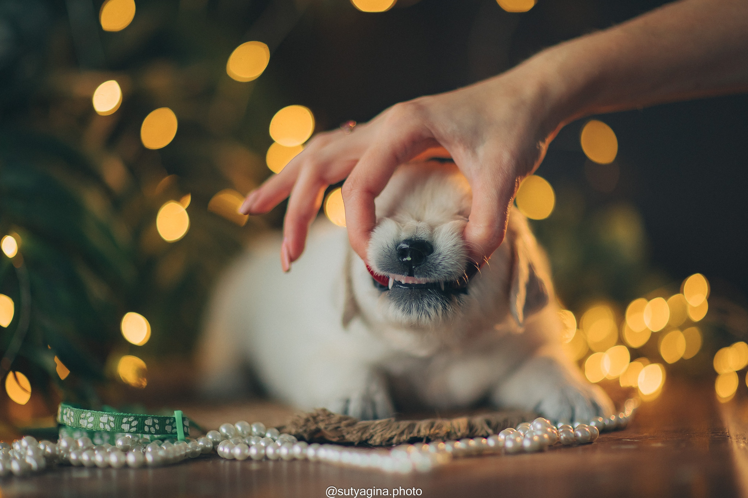 Зеленая лента. Свадебный и женский фотограф