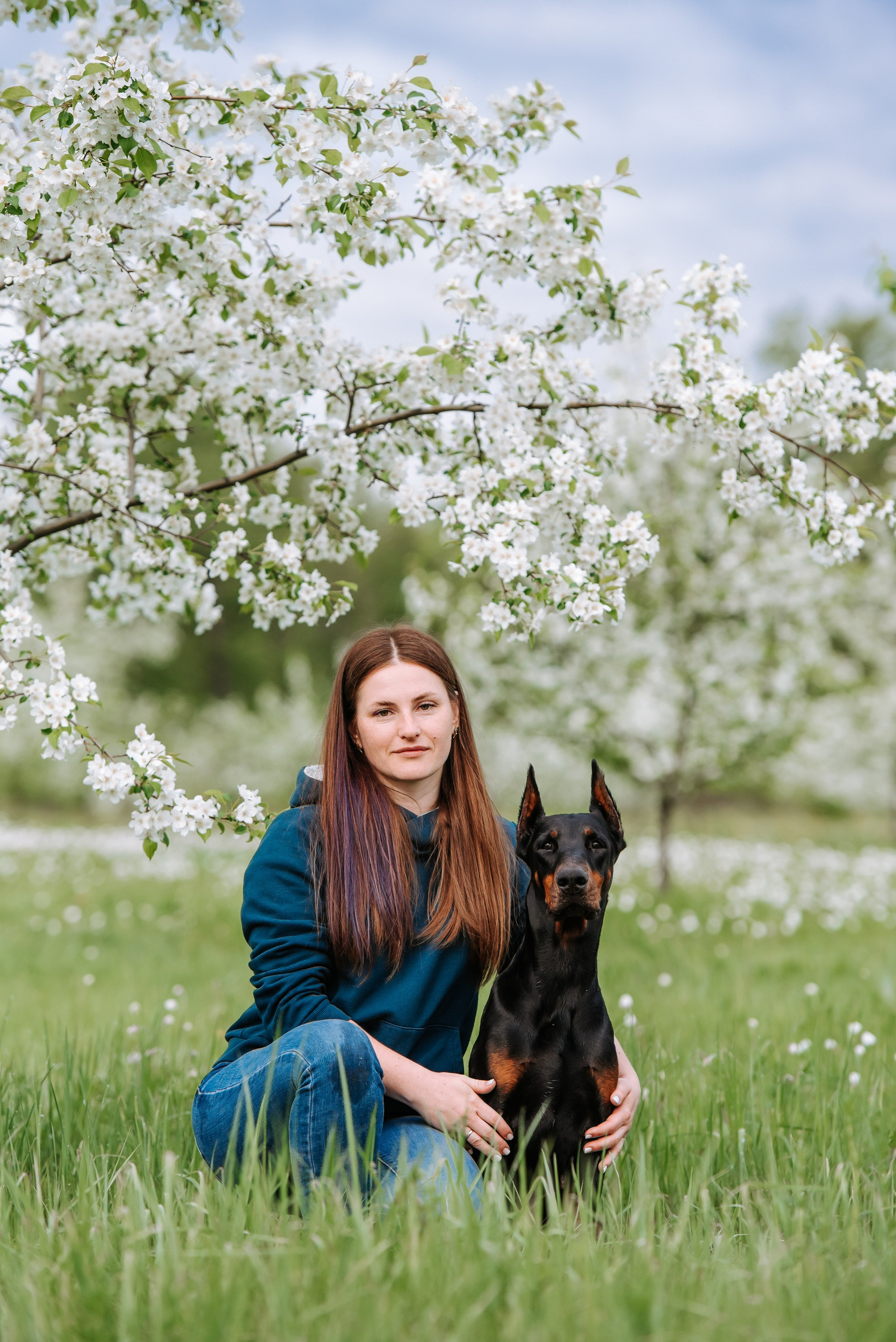 Цветение с доберманами. Фотограф Диана Оленина Красноярск / Братск