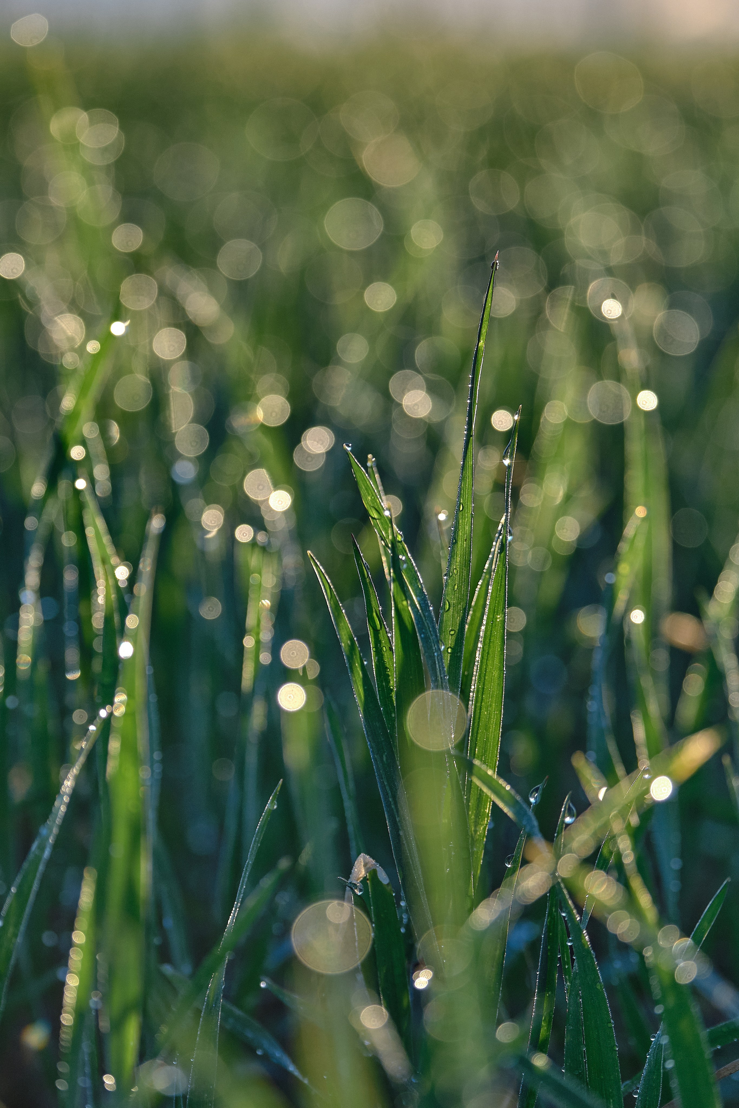 Cyprus / 2023. Aleksandr Kobtsev