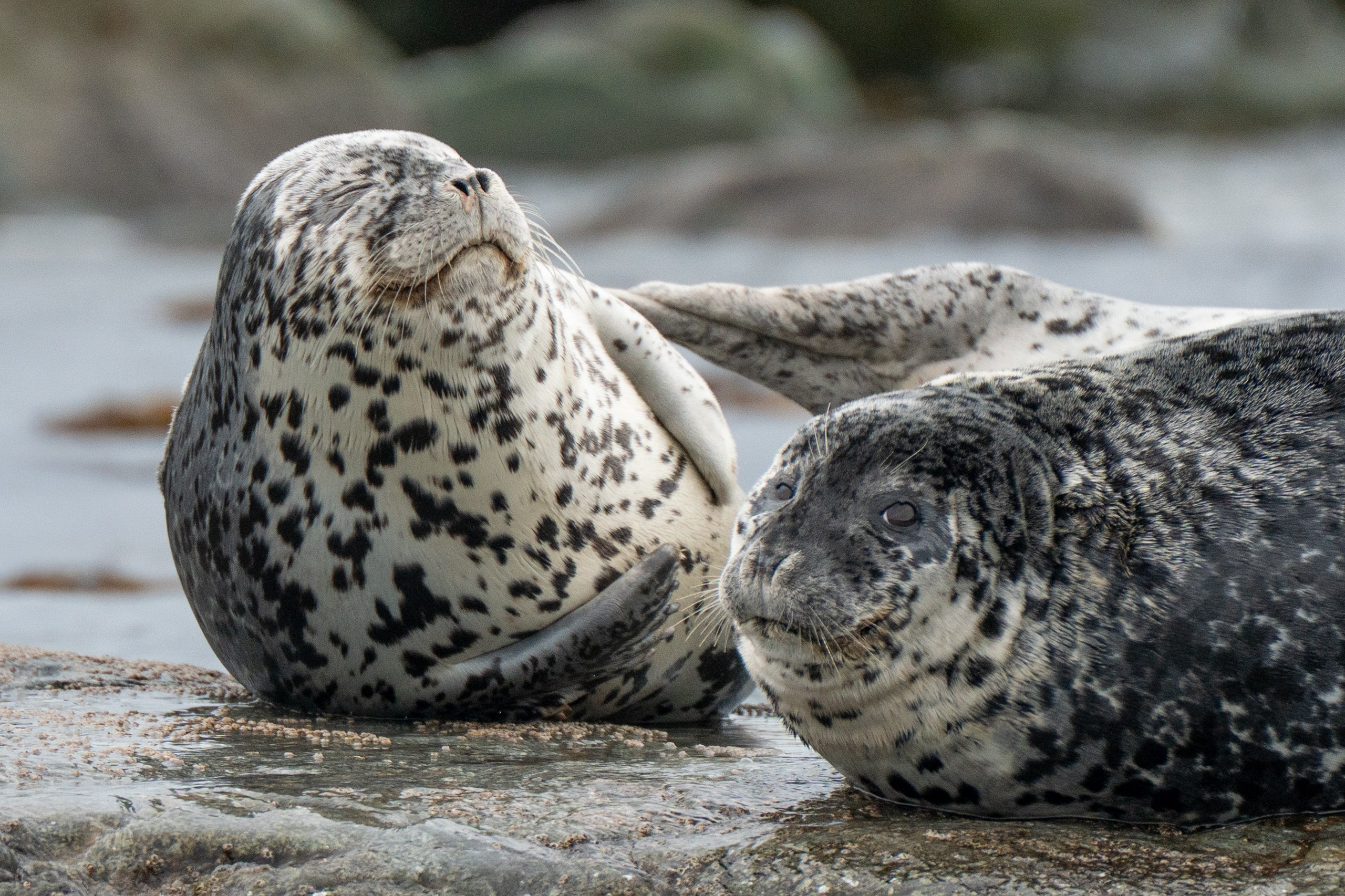 Приморье. Daria wanderer photography