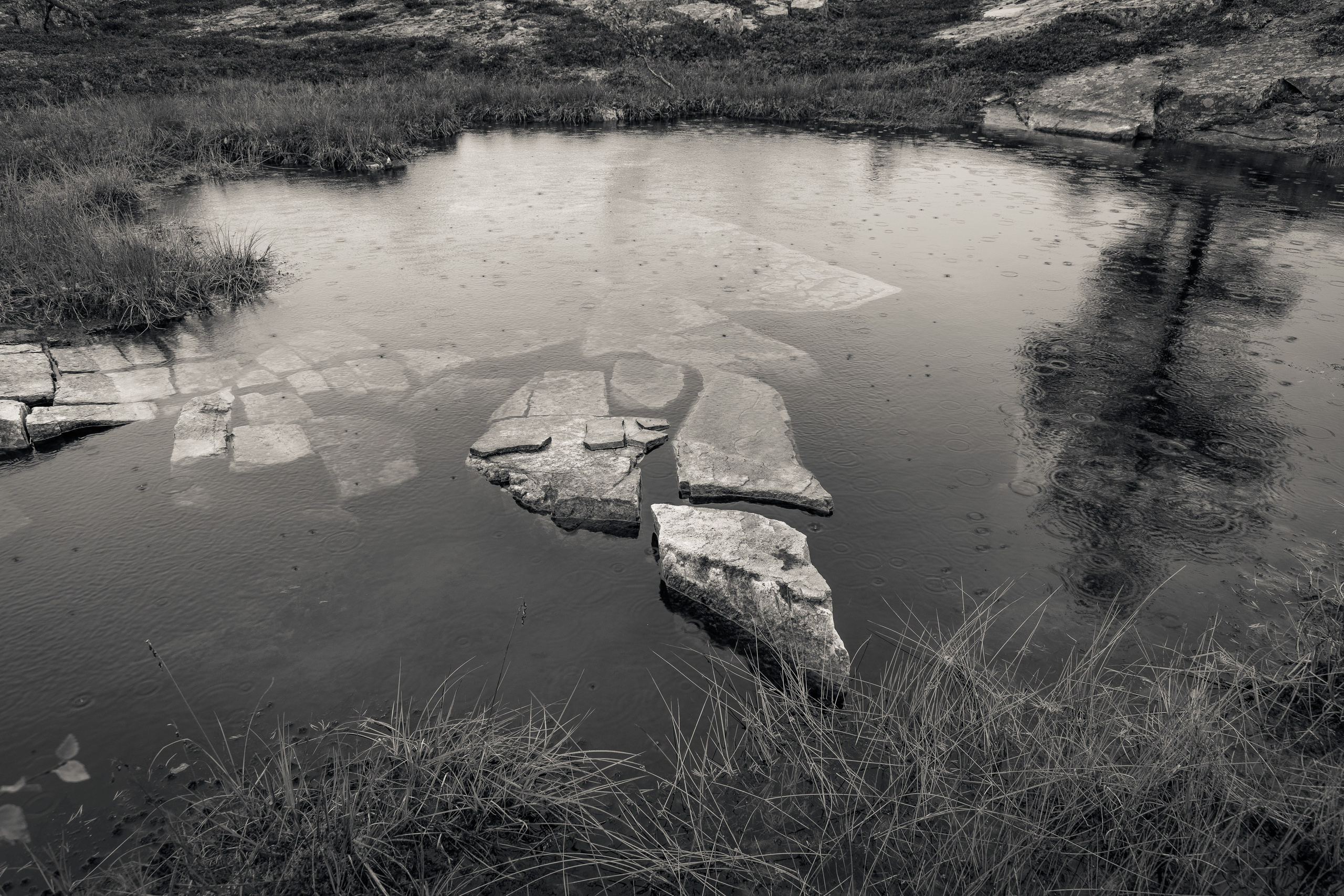 Лето. Северные Ночи