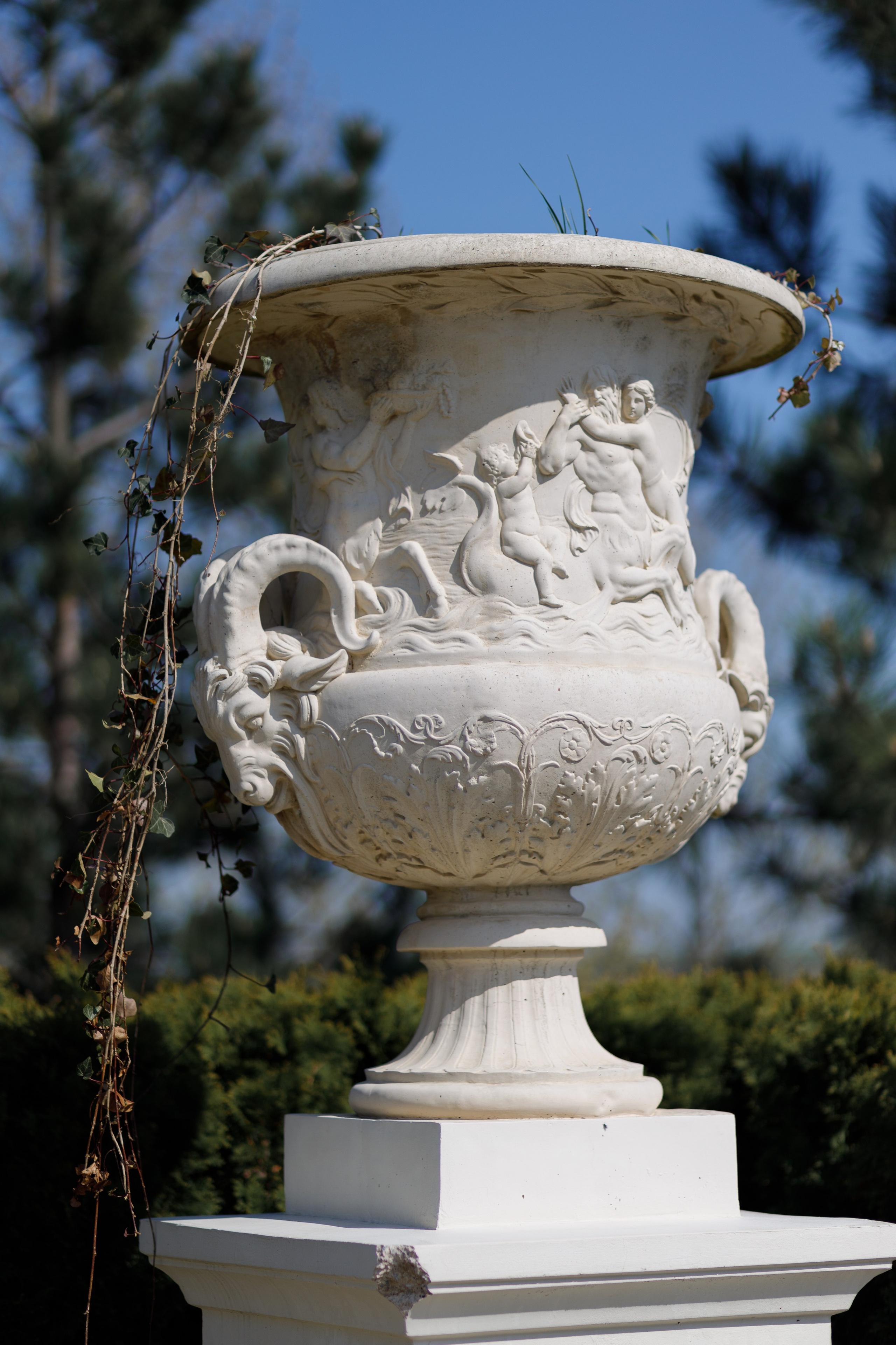 Гайк и Катя. Фотограф Краснодар