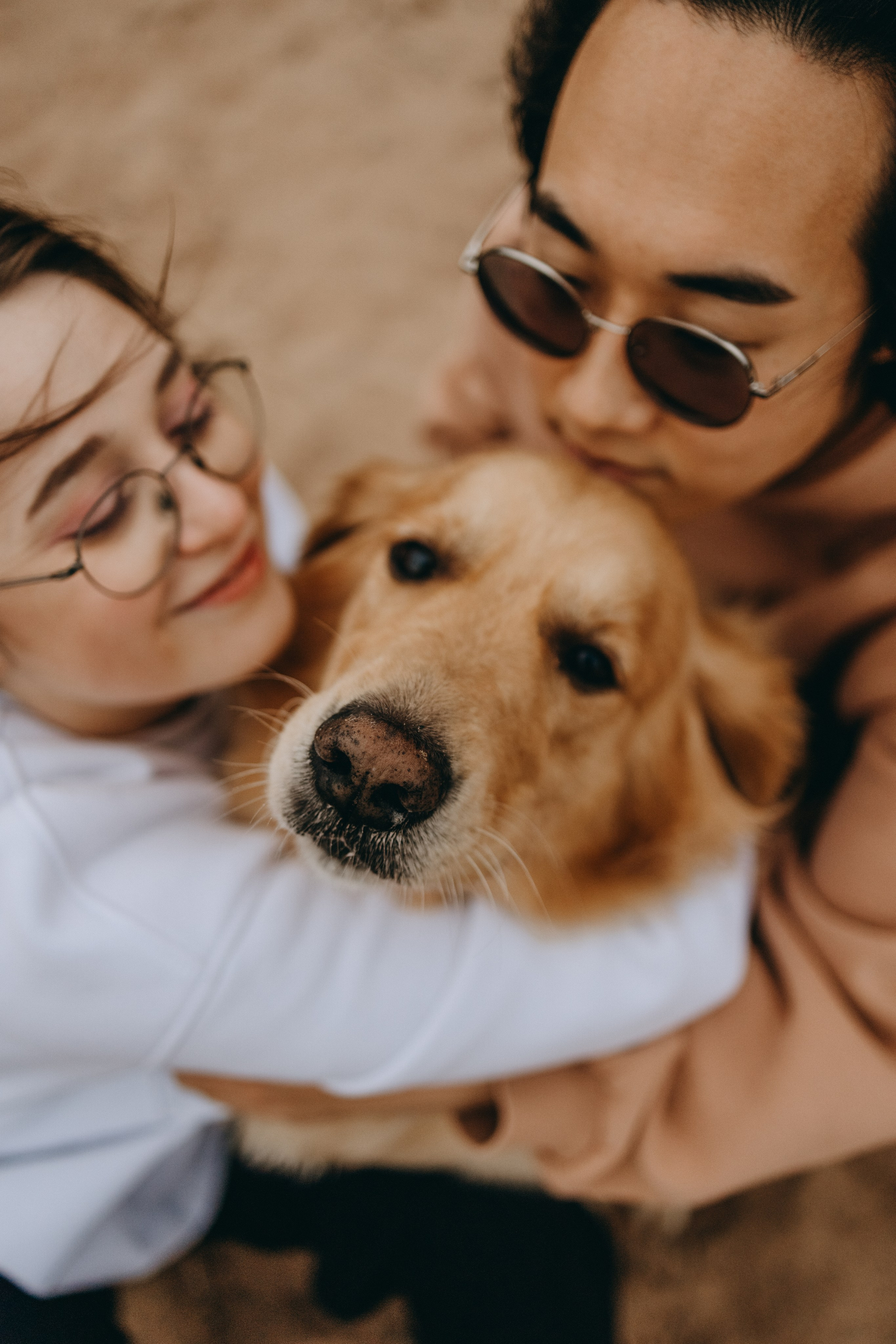 Фоси и его семьи. Фотограф — Анималист | Санкт-Петербург