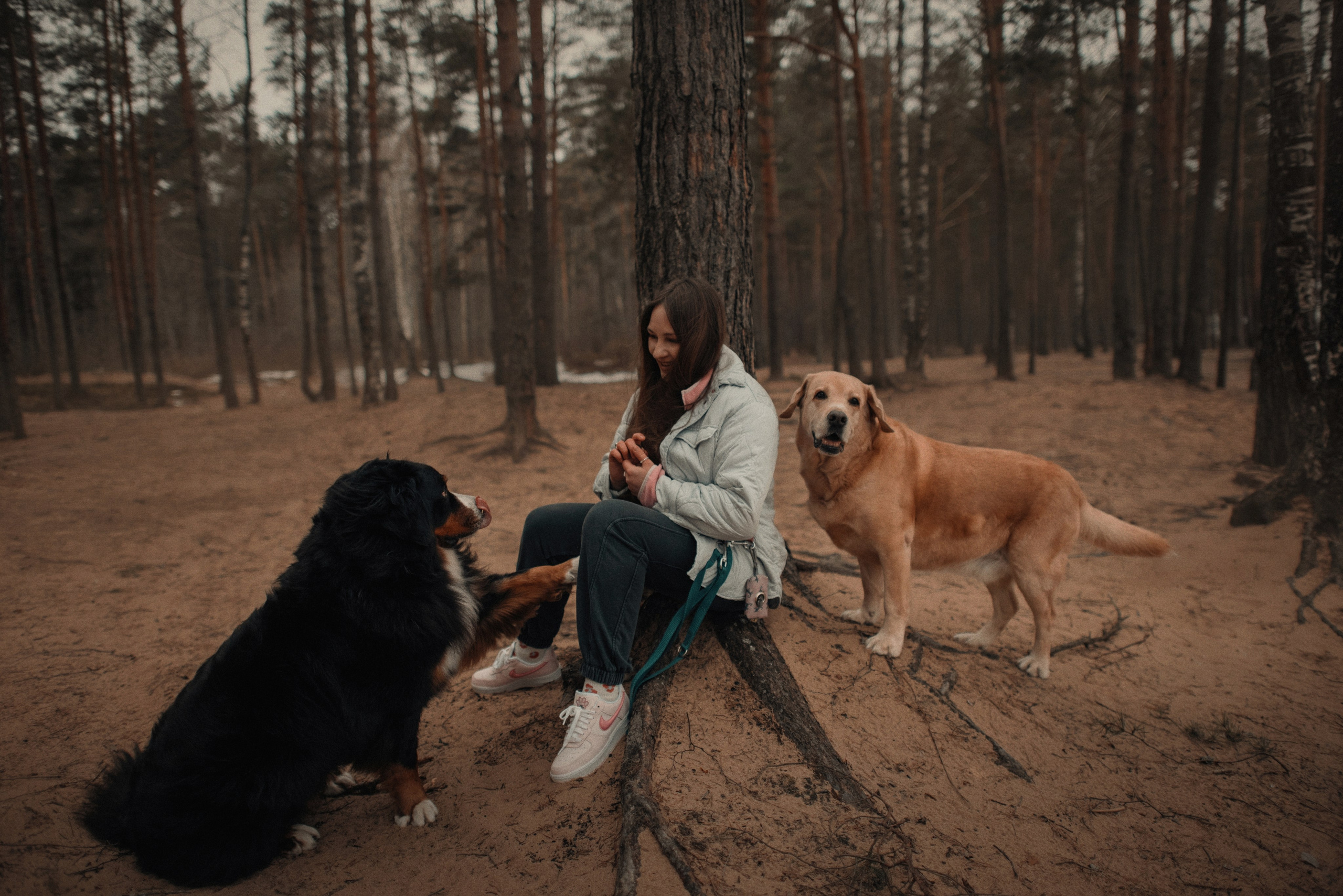 Прогулка: берн Пума, Фрэнк и Юля в Питере. Портфолио