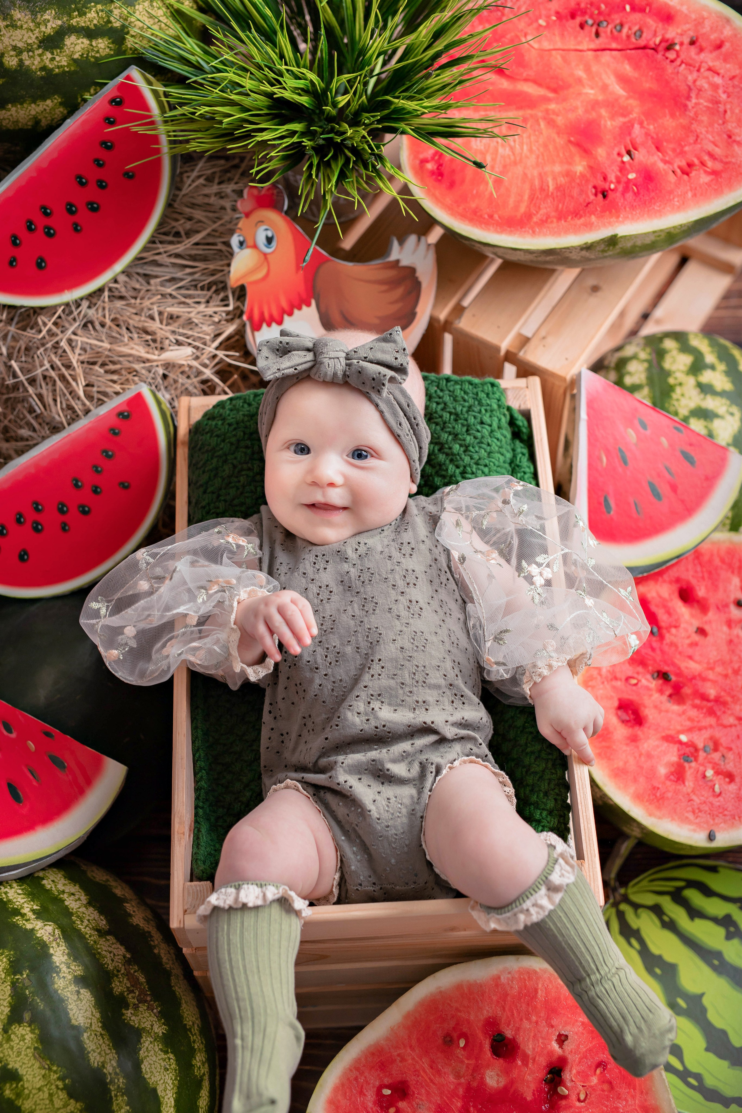 Арбузы. Фотограф Болотова Иветта