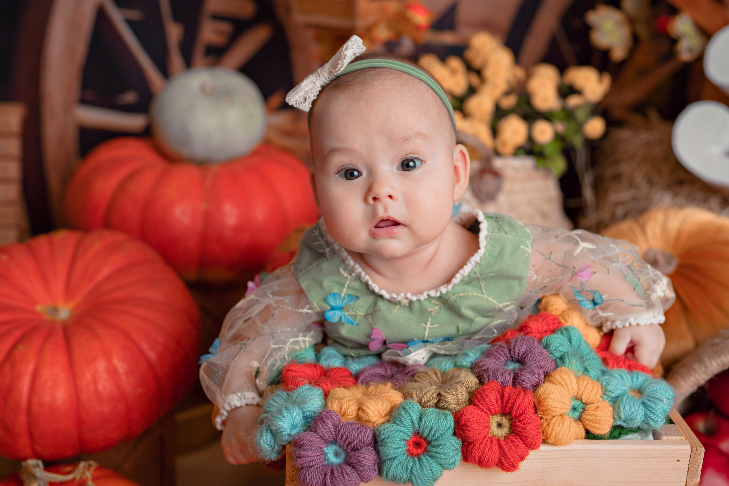 Тыквы. Фотограф Болотова Иветта