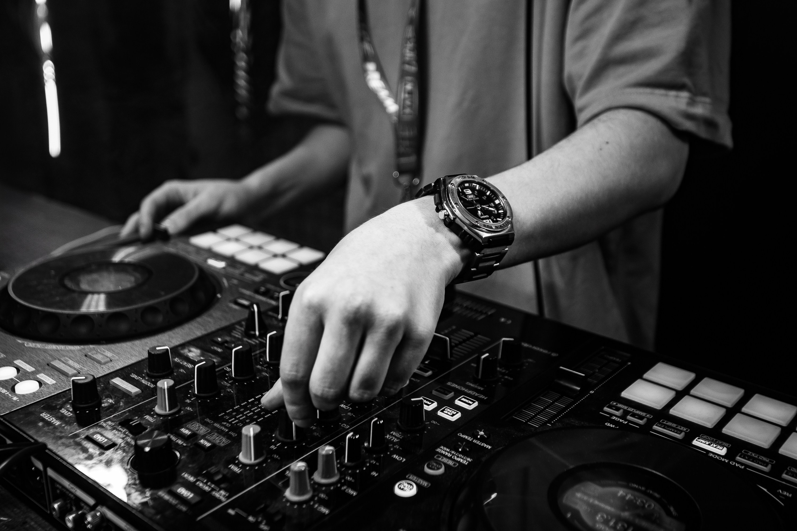 «Мартовские коты"_Tortuga_Симферополь_29.03.2025. Аминов Руслан | Фотограф