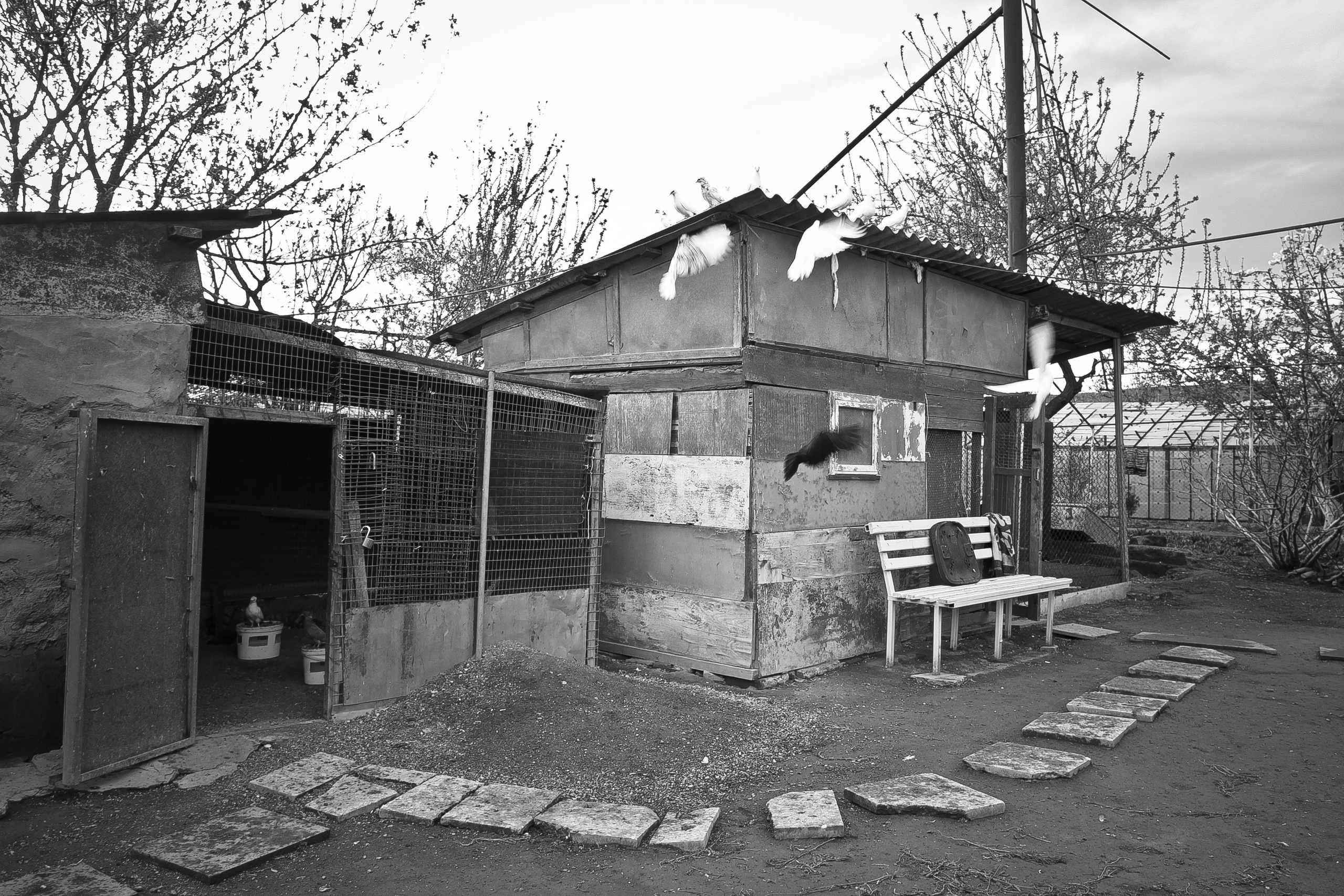 Армения. Двадцать лет спустя. Репортажный фотограф во Всеволожске и Санкт-Петербурге Владимир Капустин