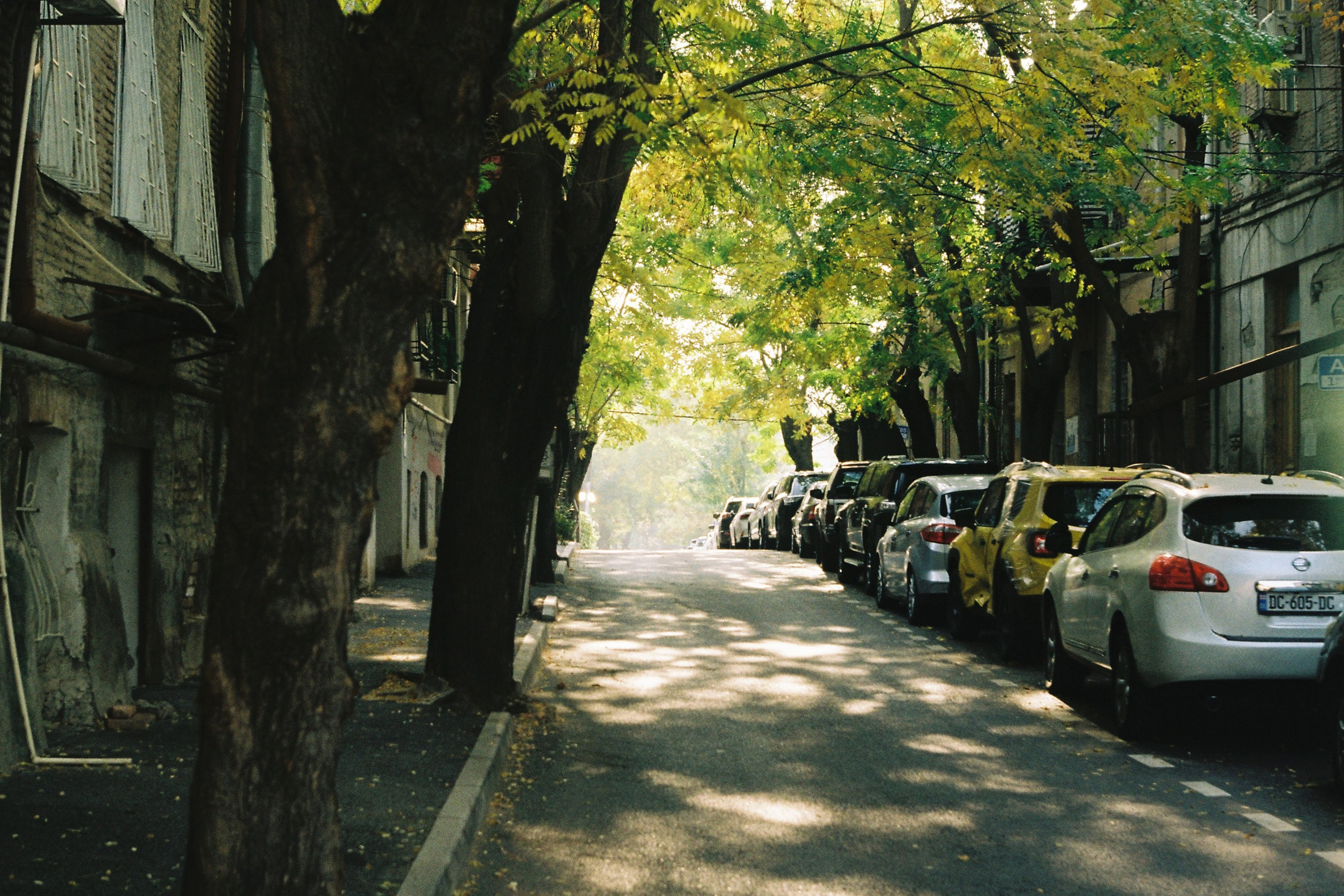 Test Film. Dmitriy [KCCC] is a pretty cool photographer