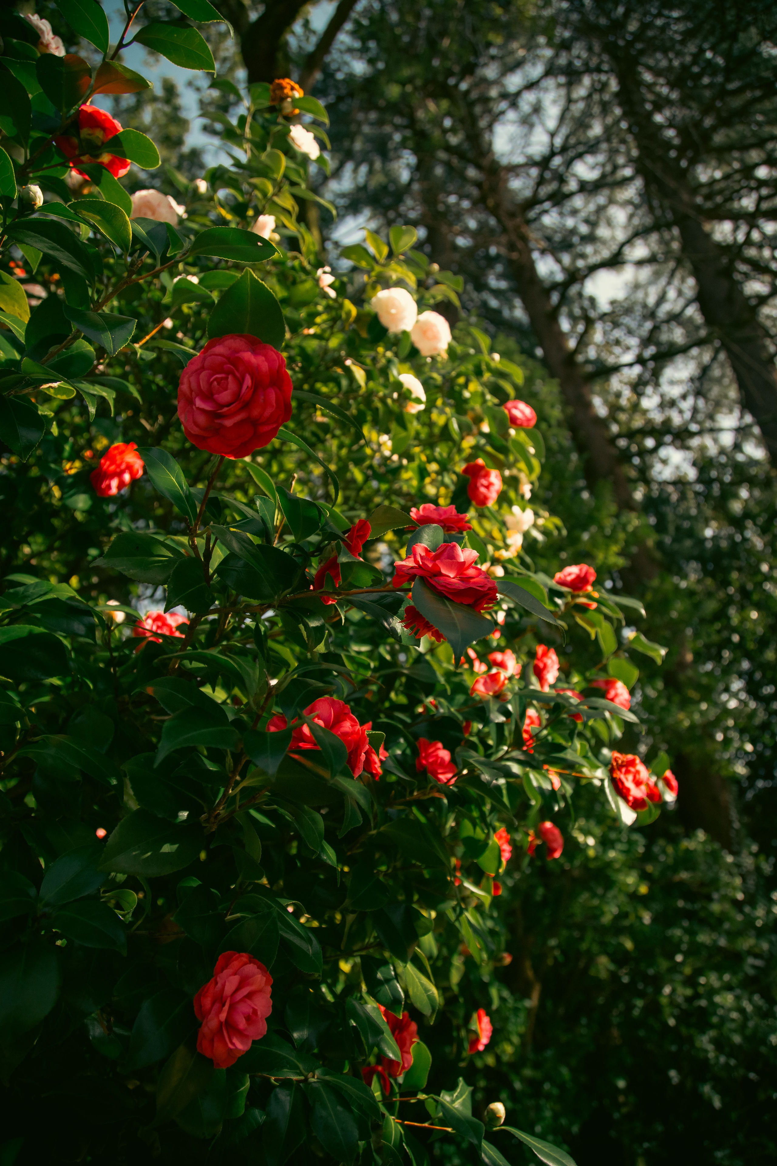 Batumi. Dmitriy [KCCC] is a pretty cool photographer