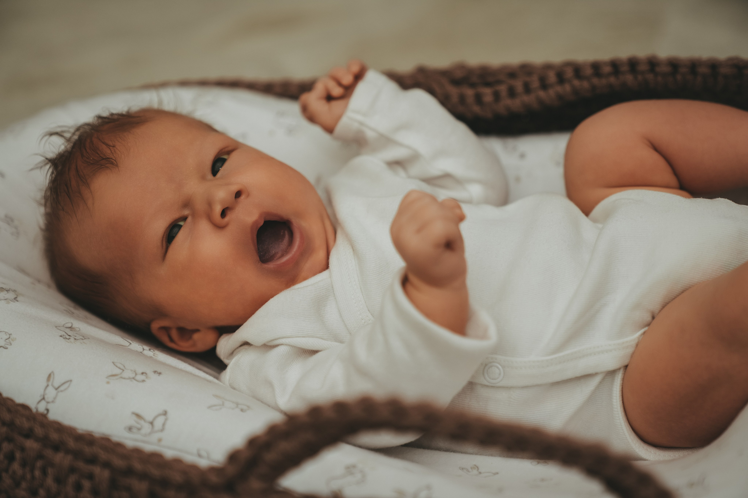 Иван, Мария, Илюша и Майло. Семейный и детский фотограф Плесецк, Мирный Марина Забабурина