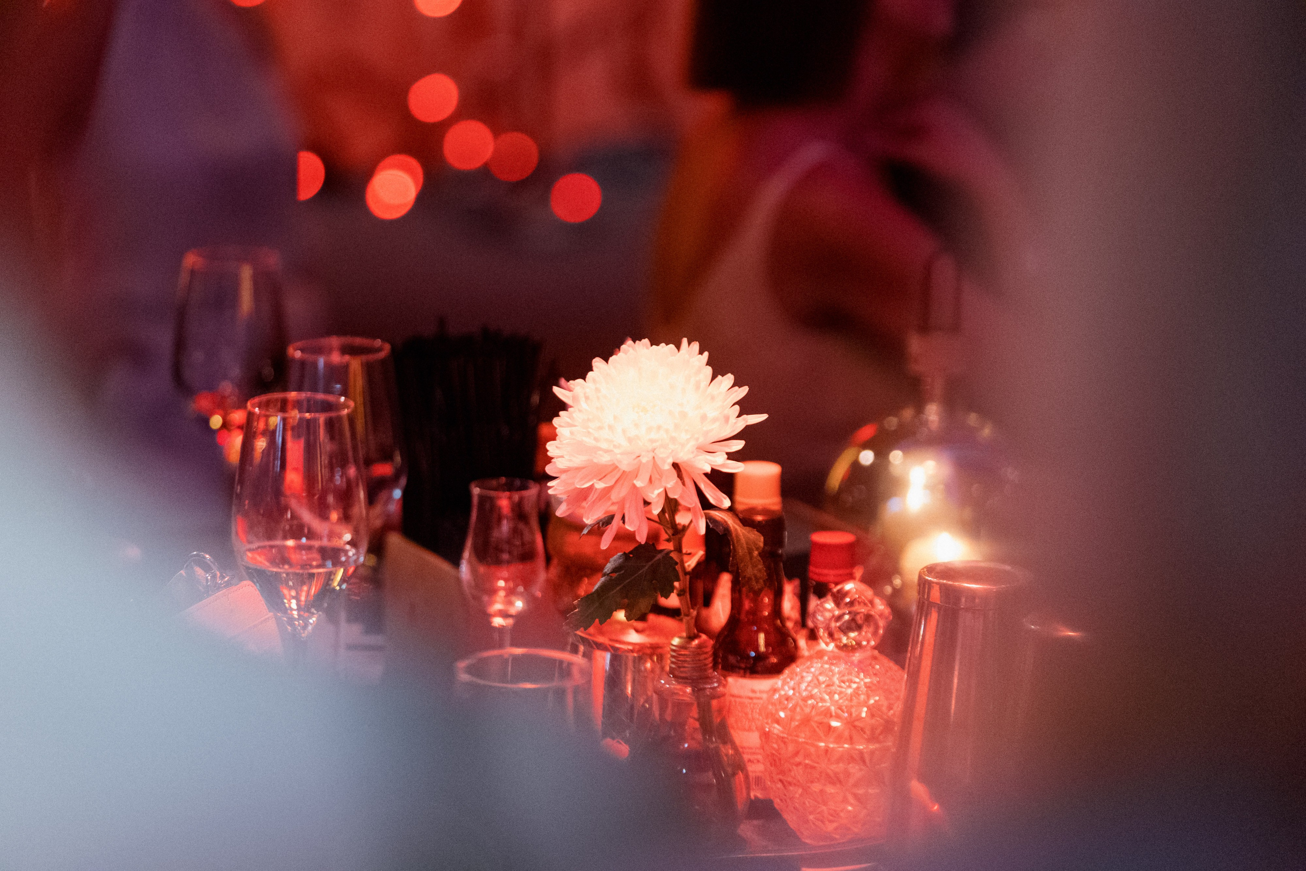 ELE AMU x PLUM — Показ новой коллекции брендов. СВОИ. ФОТООТЧЕТЫ-СОБЫТИЯ-МЕСТА