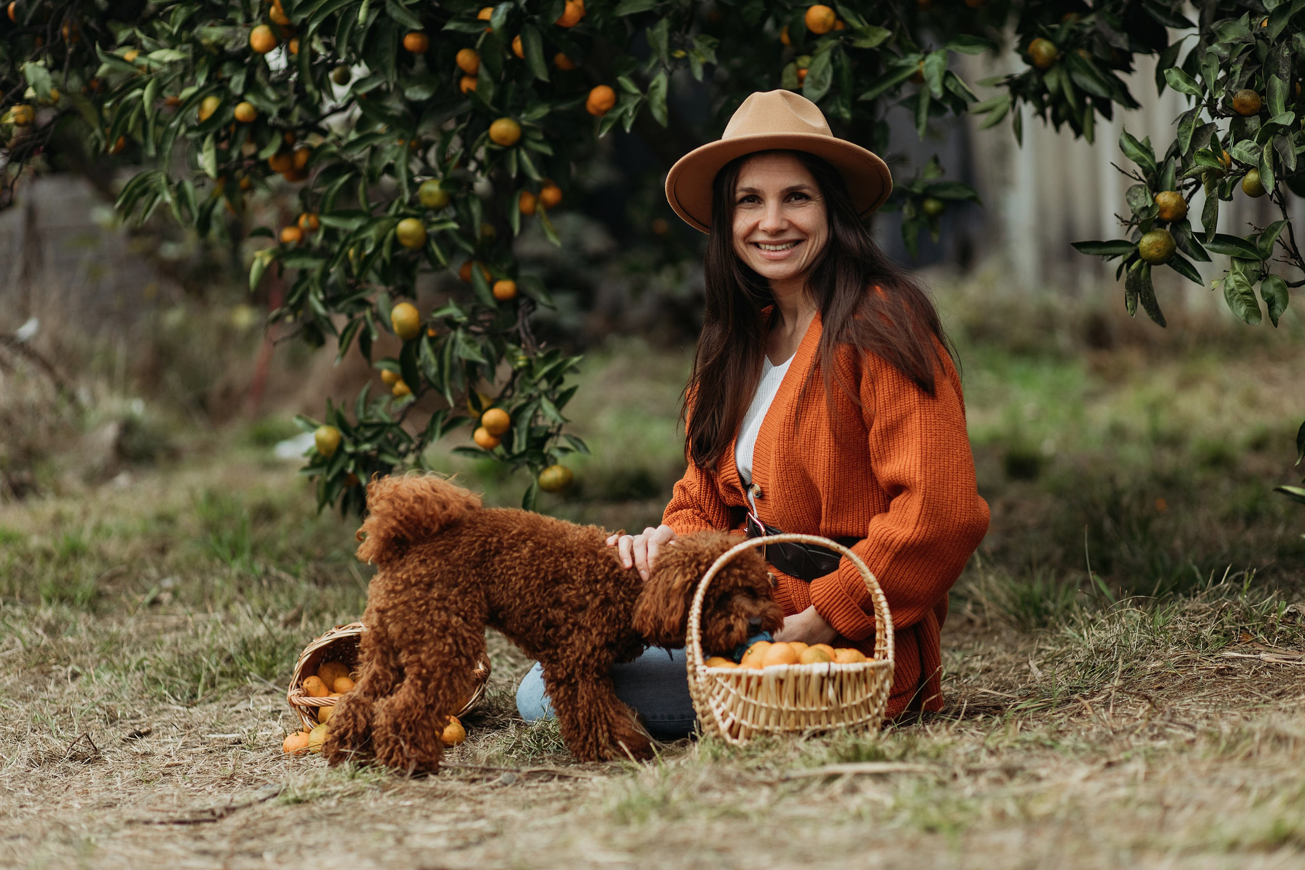 Мандариновая роща. Фотограф Сочи Татьяна Зорина