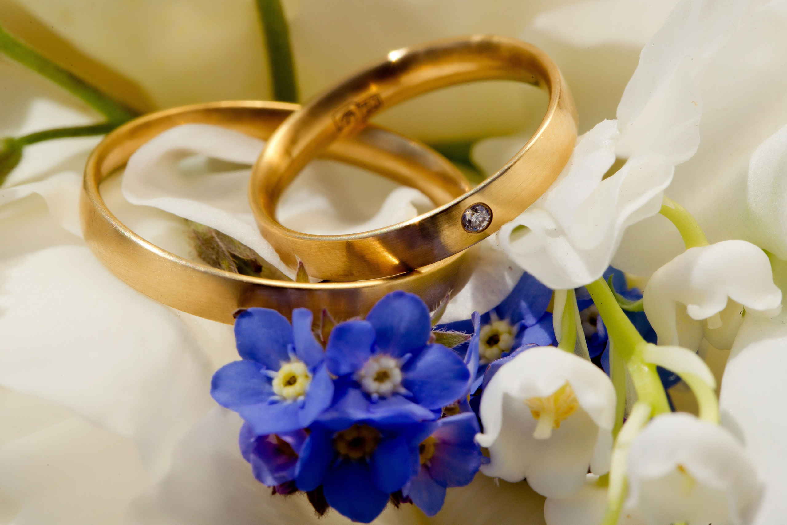 Свадьба Завидово. Фотограф Алексей Архангельский