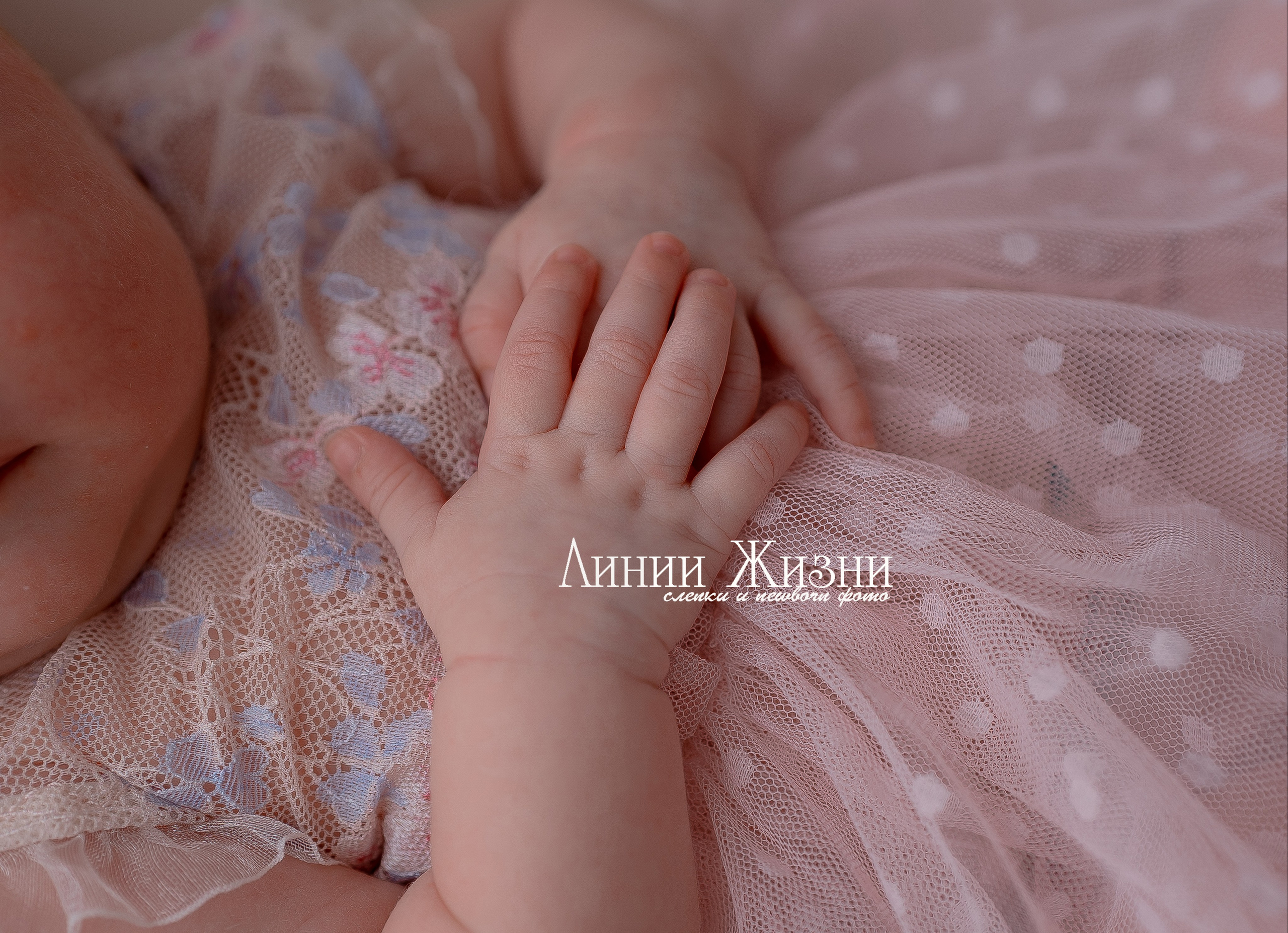 Полина 1 месяц. Фотограф новорожденных в Нижнем Новгороде Сергеева Оксана