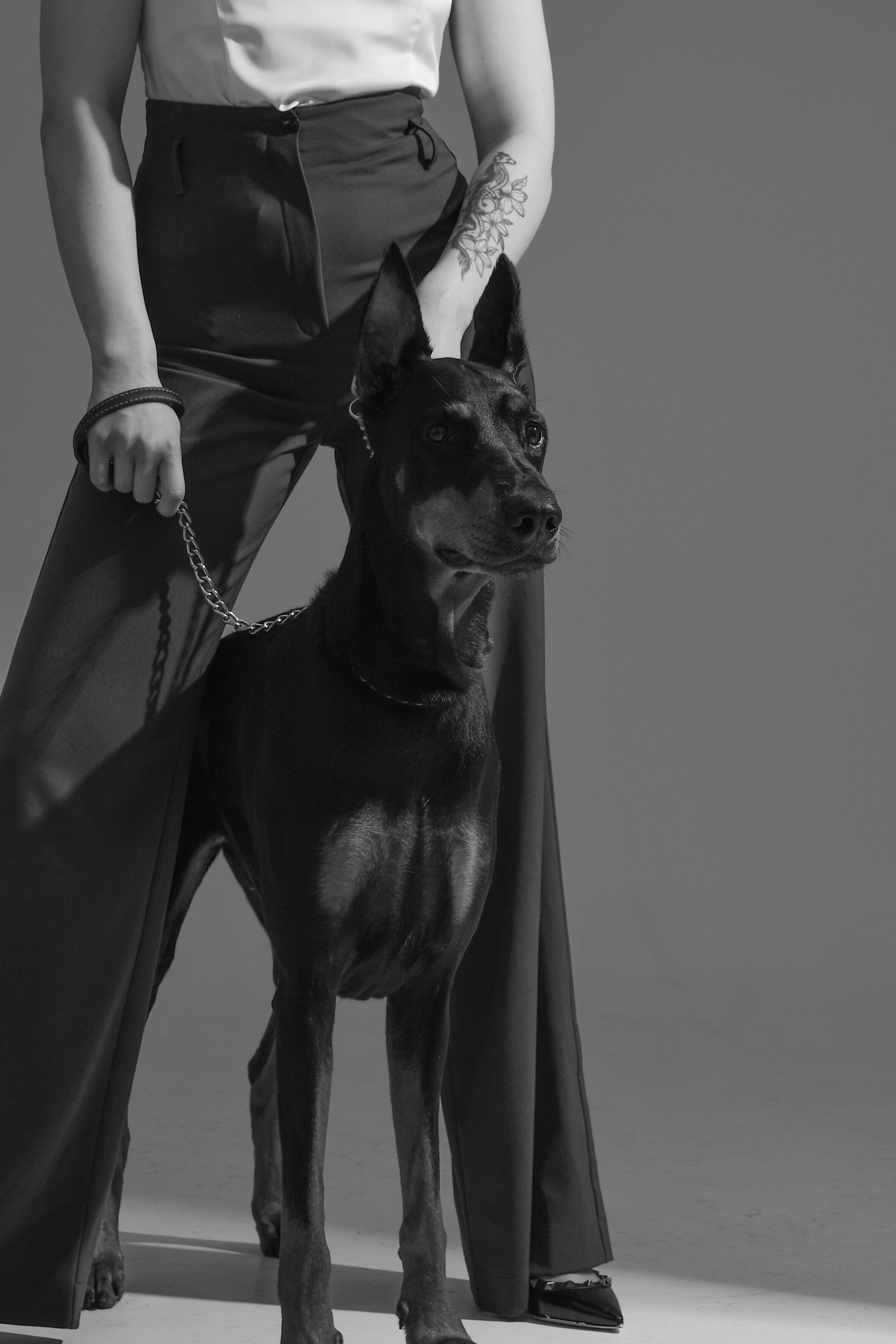 Съемка с доберманом. Фотограф