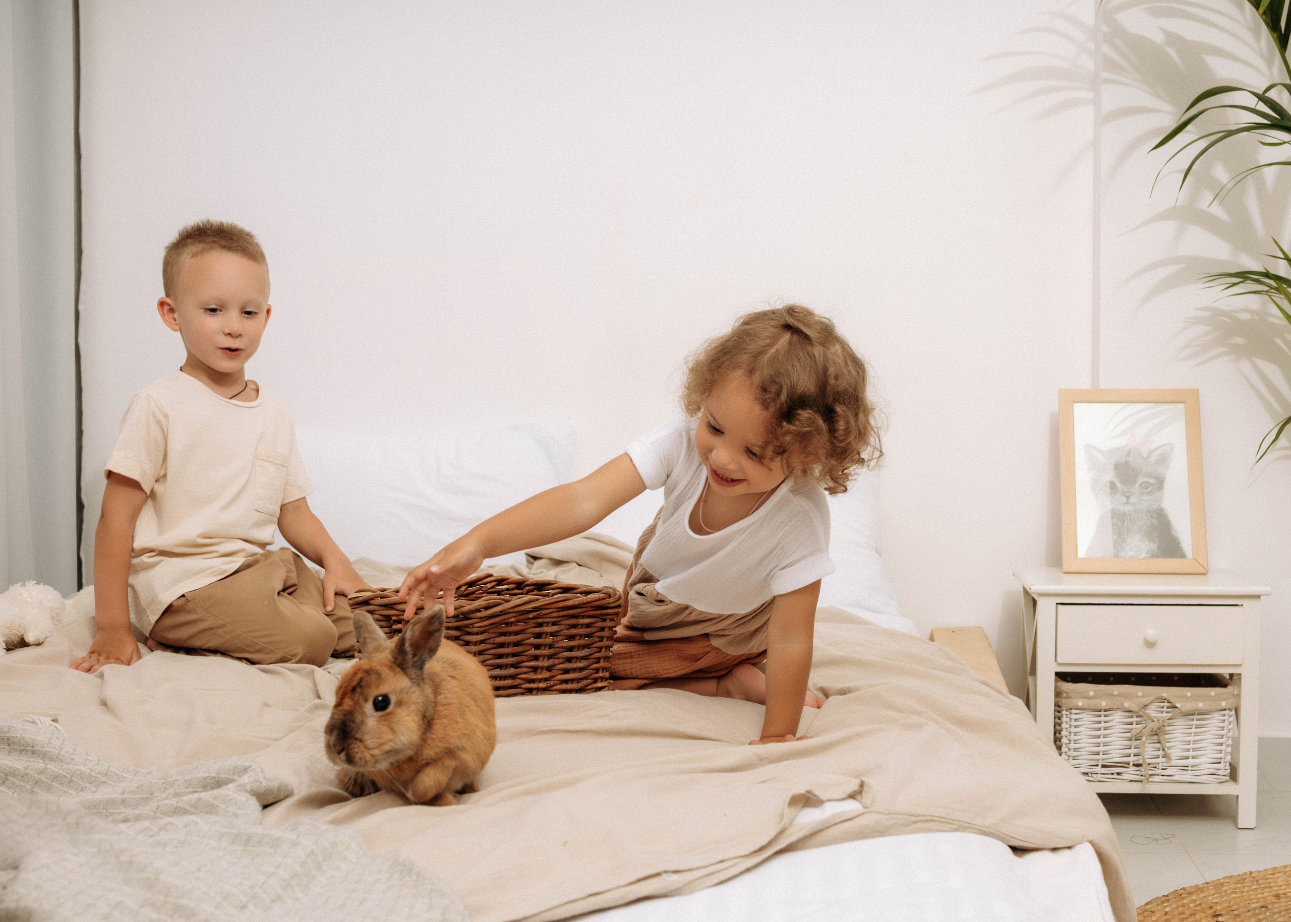 Анастасия (семейная). Фотограф