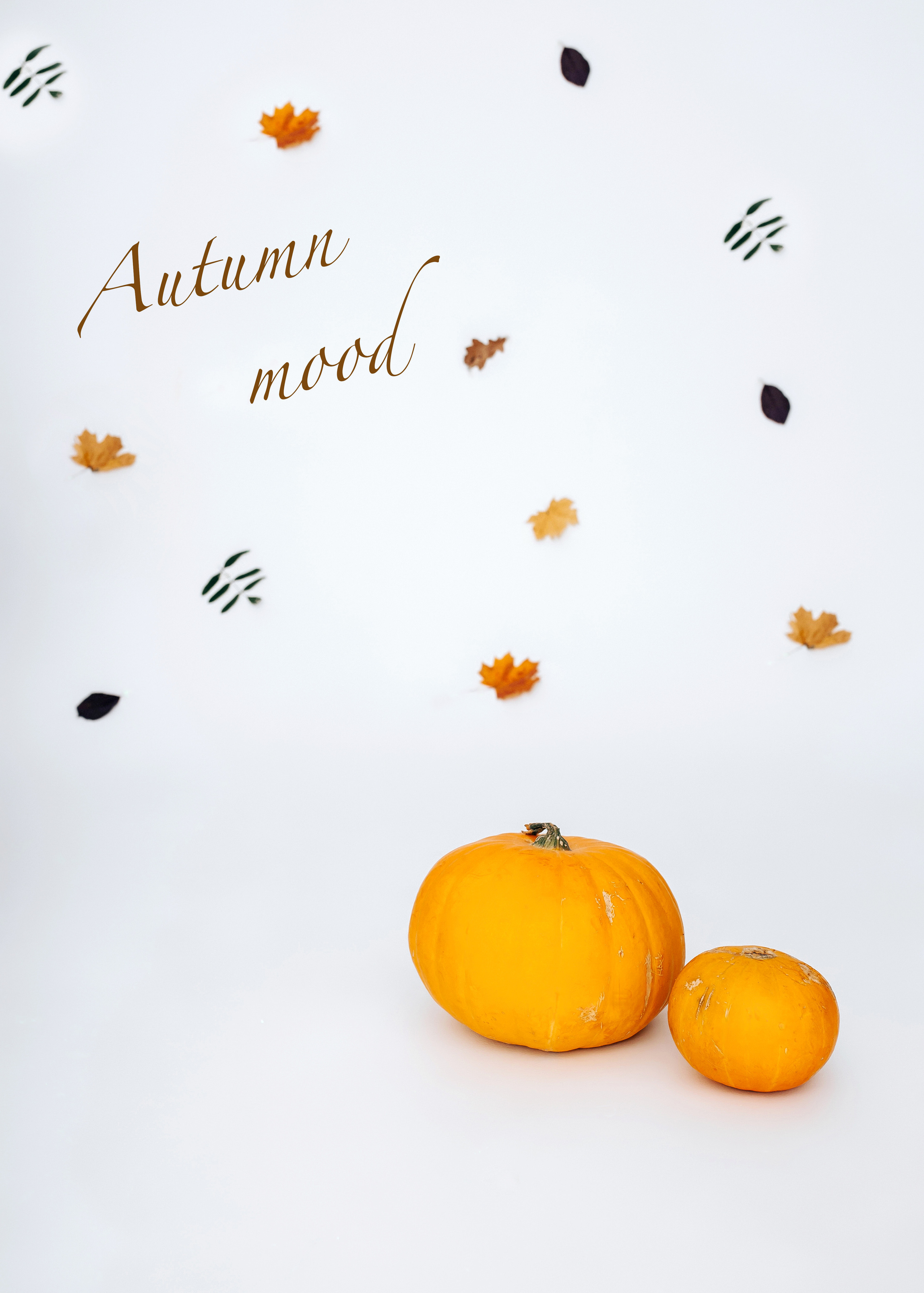 Осень в студии. Фотограф