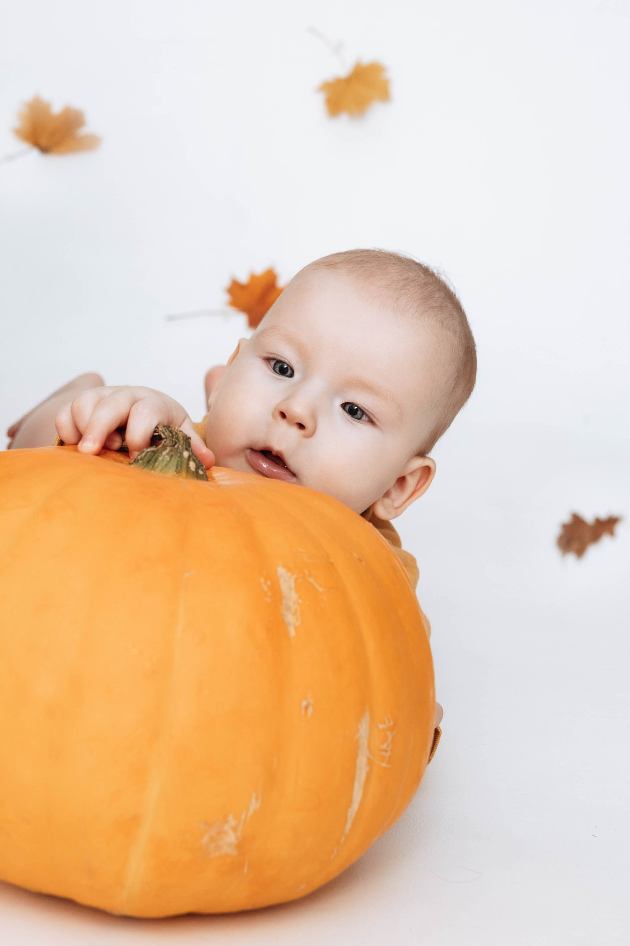 Осень в студии. Фотограф