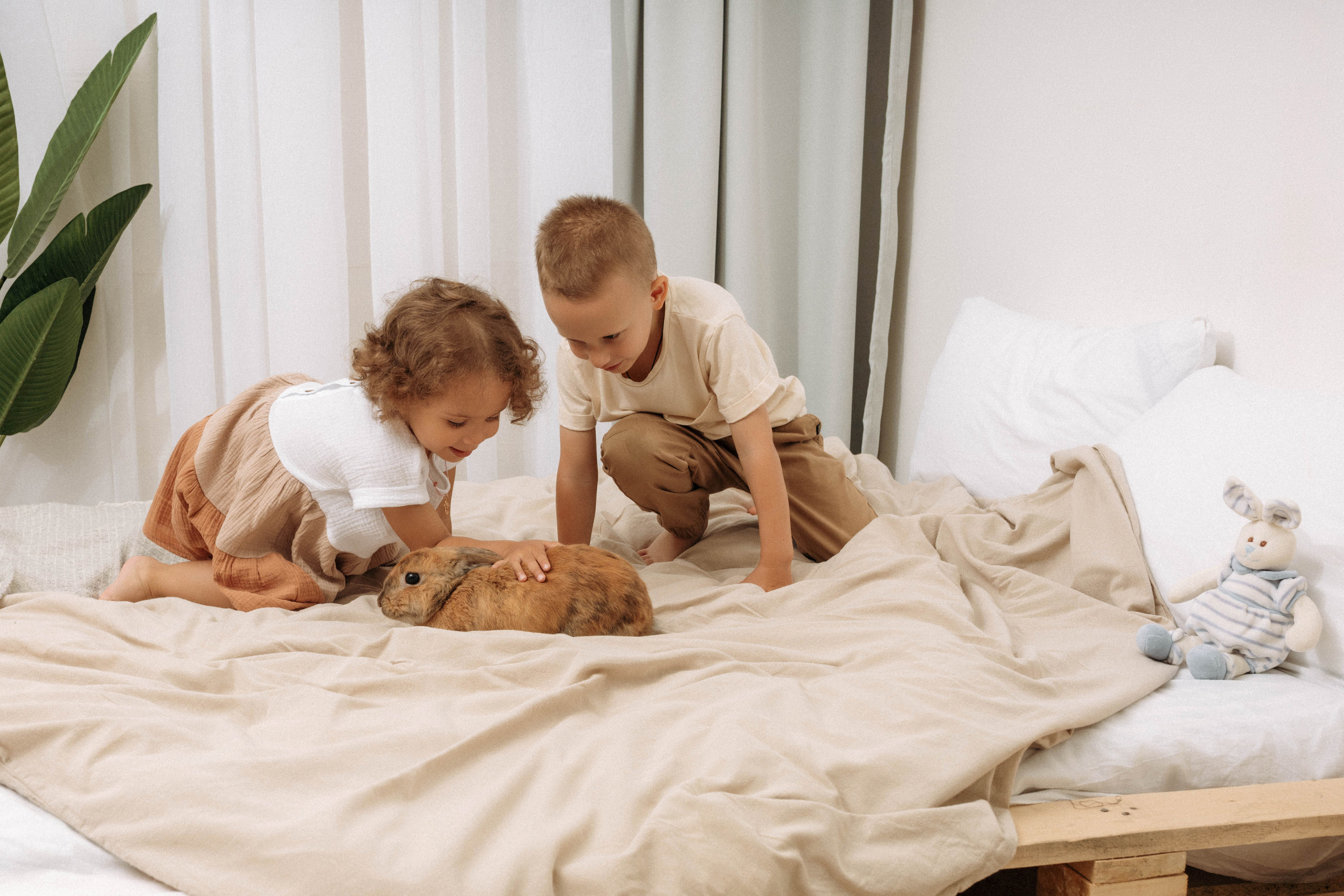 Анастасия (семейная). Фотограф