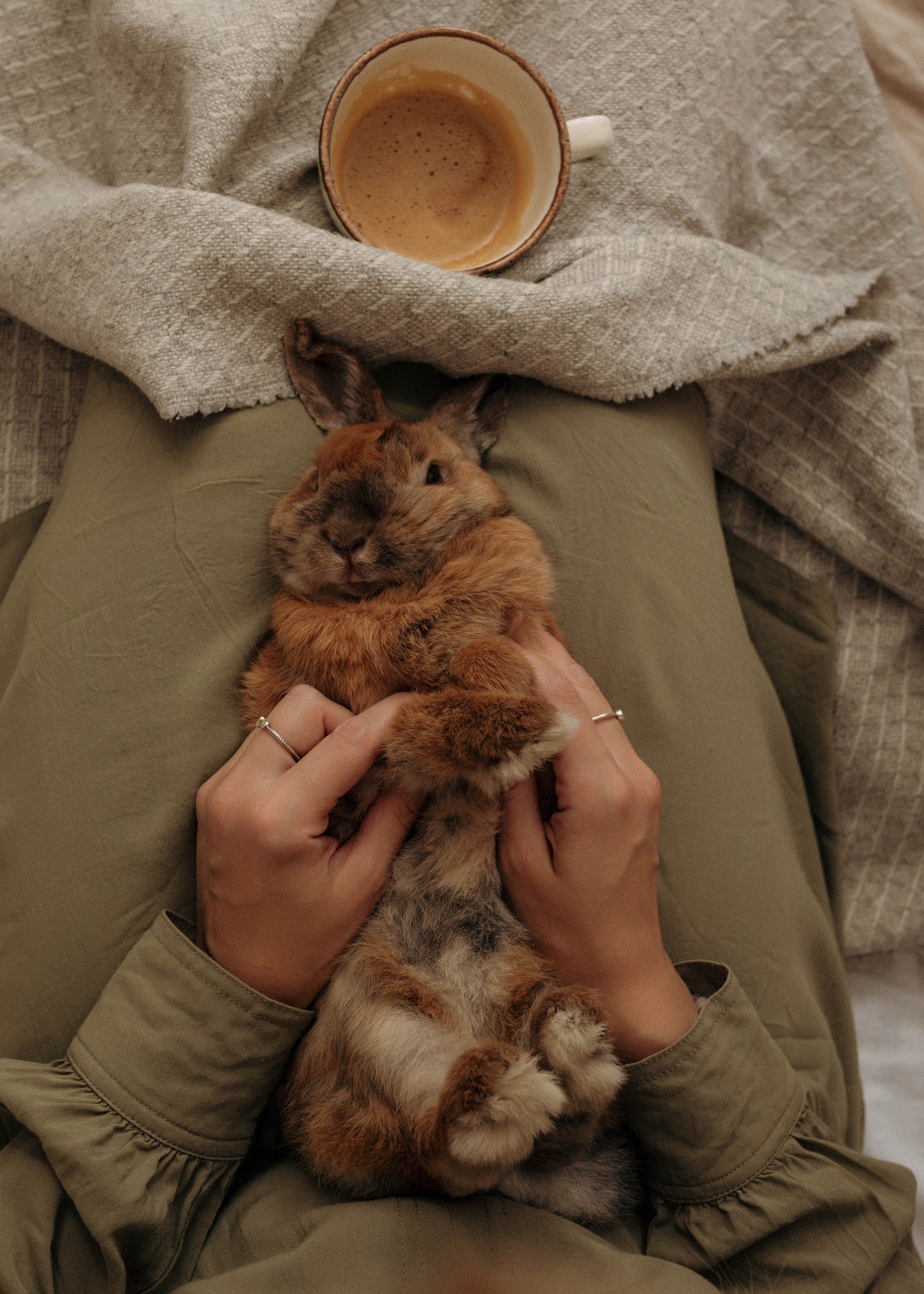 Анастасия (семейная). Фотограф
