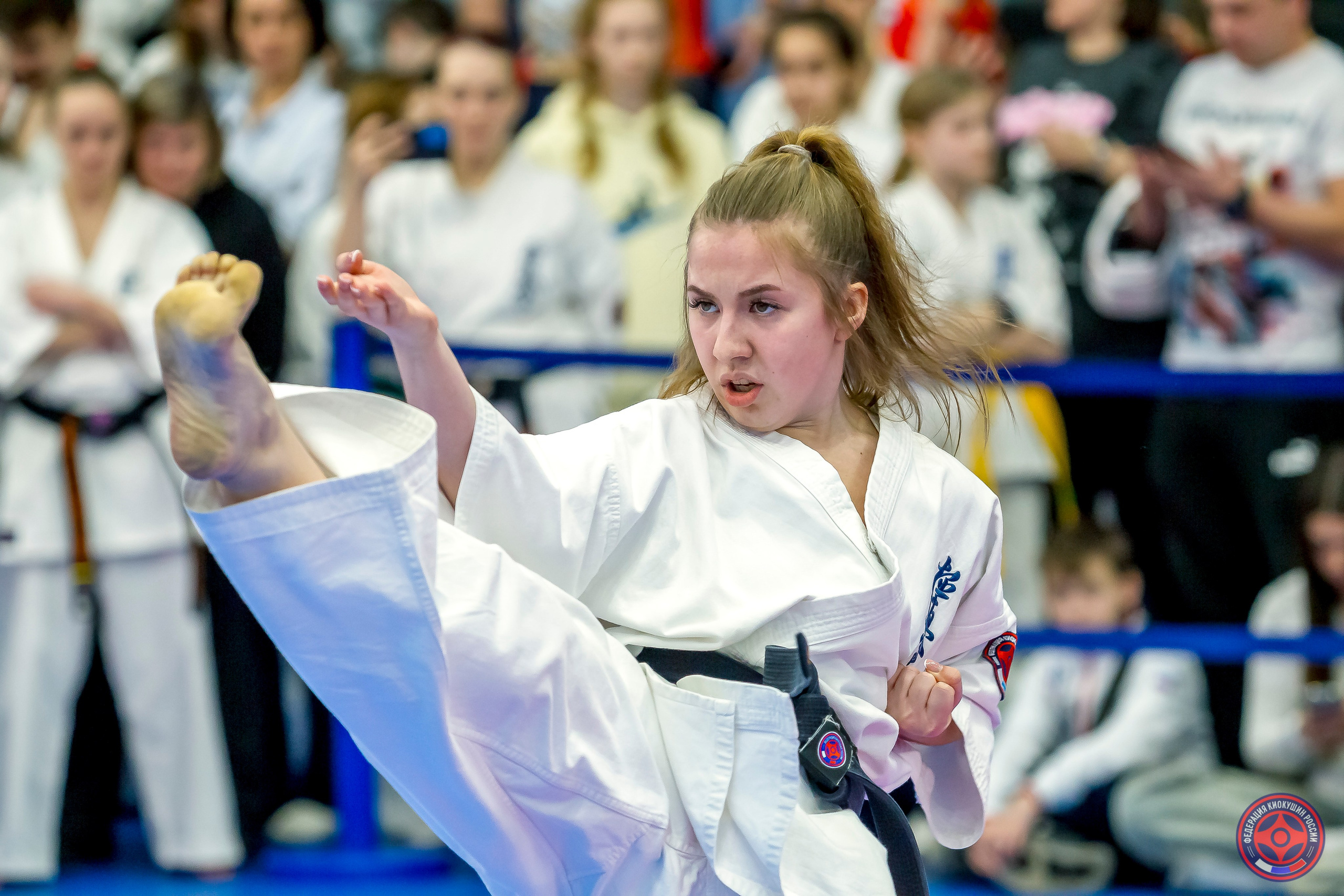 Международный турнир по киокушин «Открытый кубок Seiken». Репортажная съемка в Москве и области. Анималистика