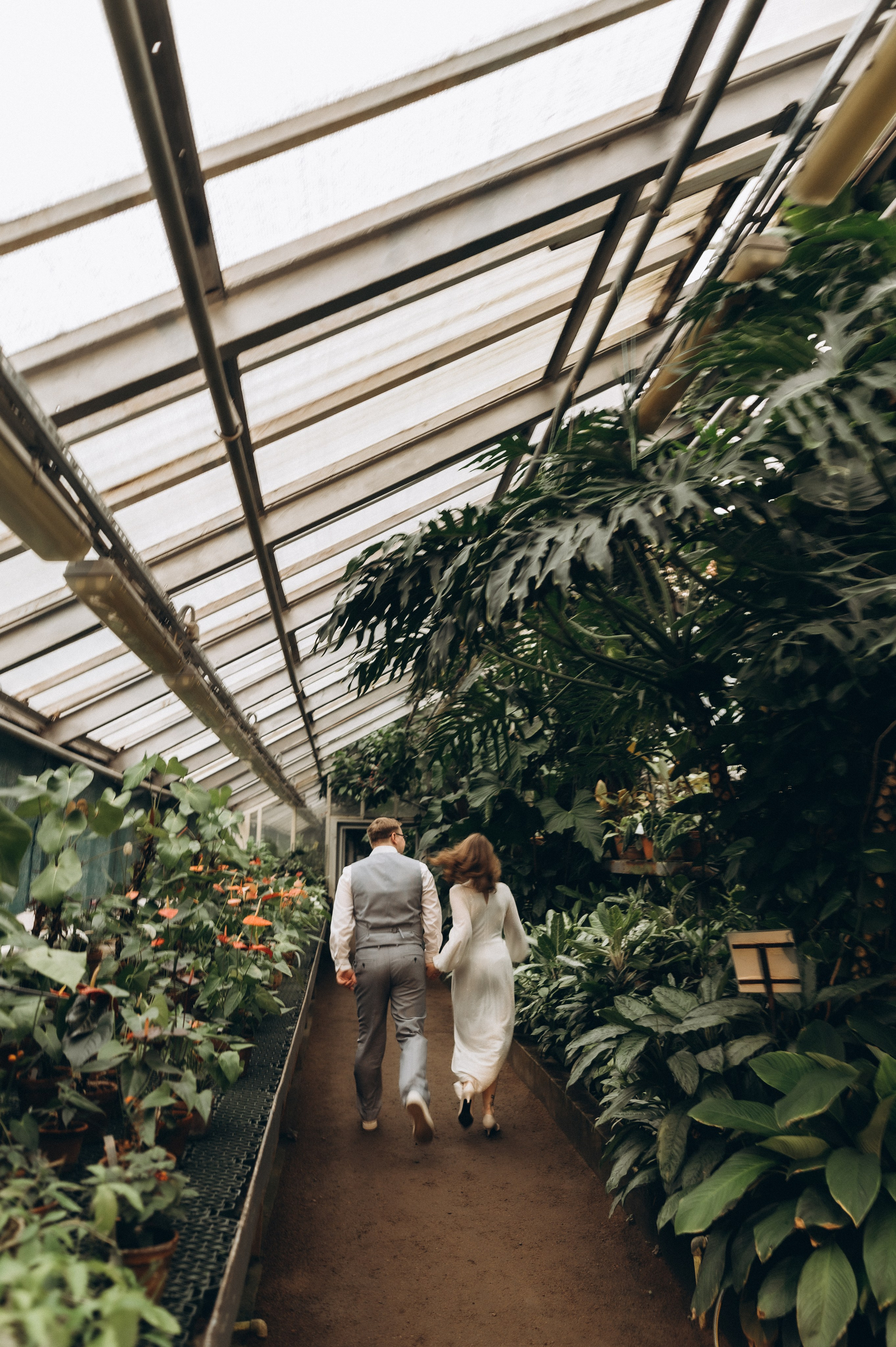 Загс+Оранжерея (камерная свадьба). Фотограф ПИТЕР СПБ Надежда Баранова