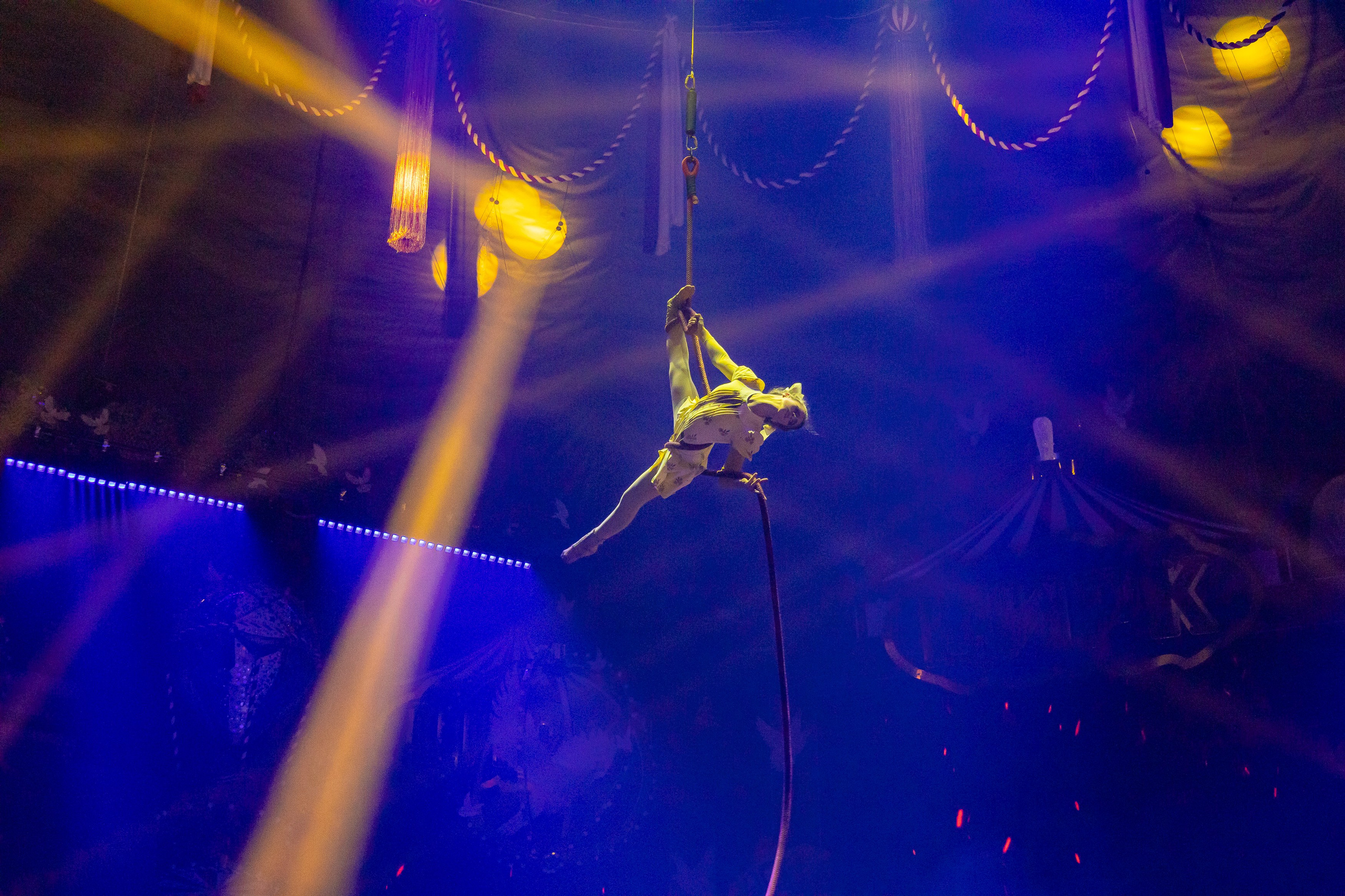 Цирк ГИИ ЭРАДЗЕ. Семейный и Свадебный фотограф в Сочи