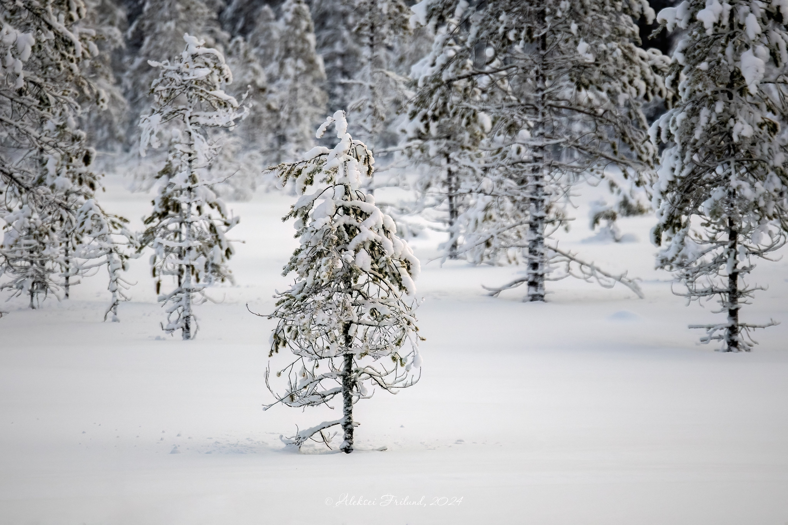 Природа Карелии. Аэросъемка. Фото и Видео в Карелии. Алексей Фрилунд