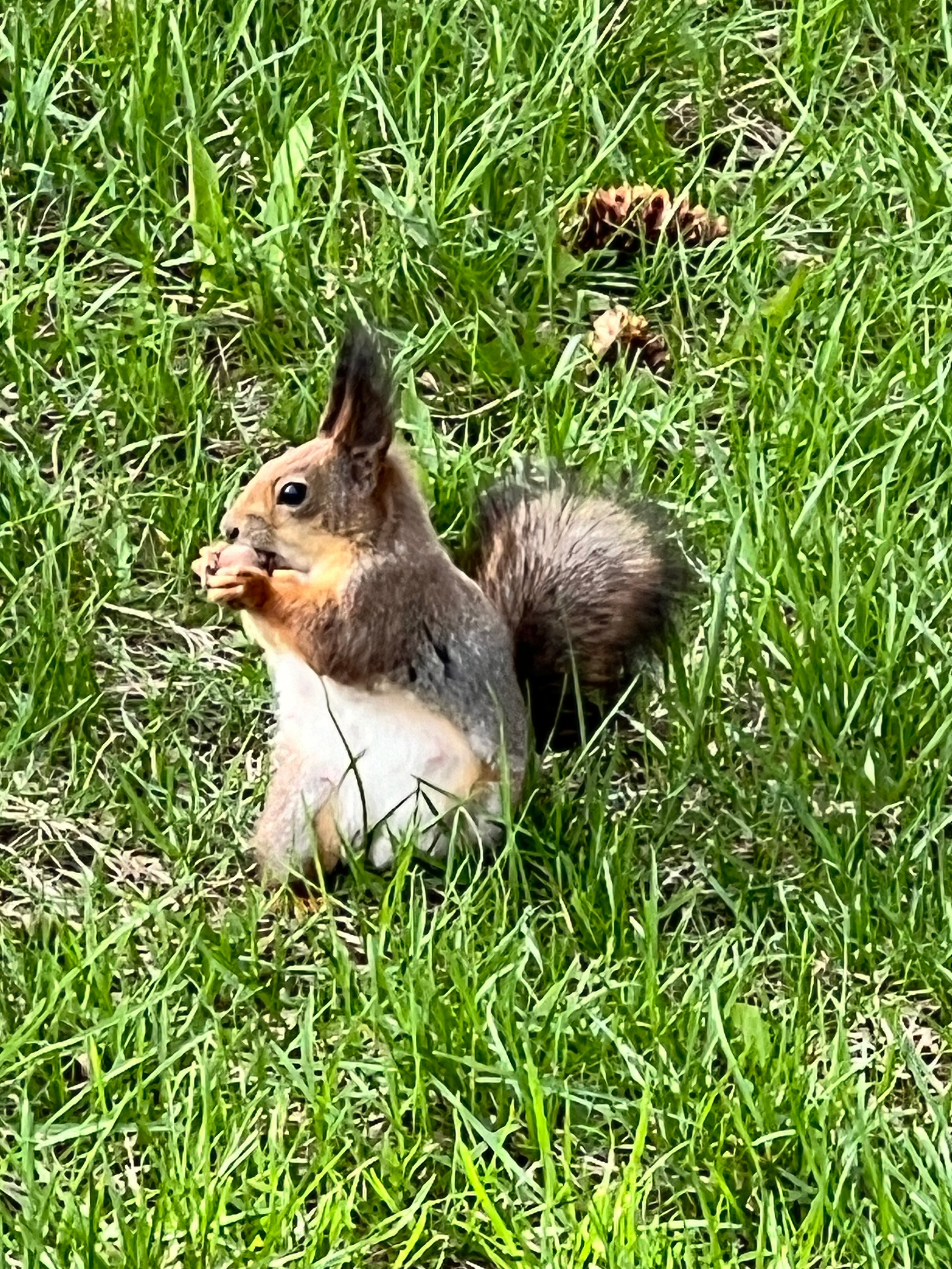 Вечная память и слава героям!. П&П — Полезное с Приятным. Фотоэкскурсии — Москва на память. Экскурсовод и фотограф в Москве. Увези столицу в своём альбоме!