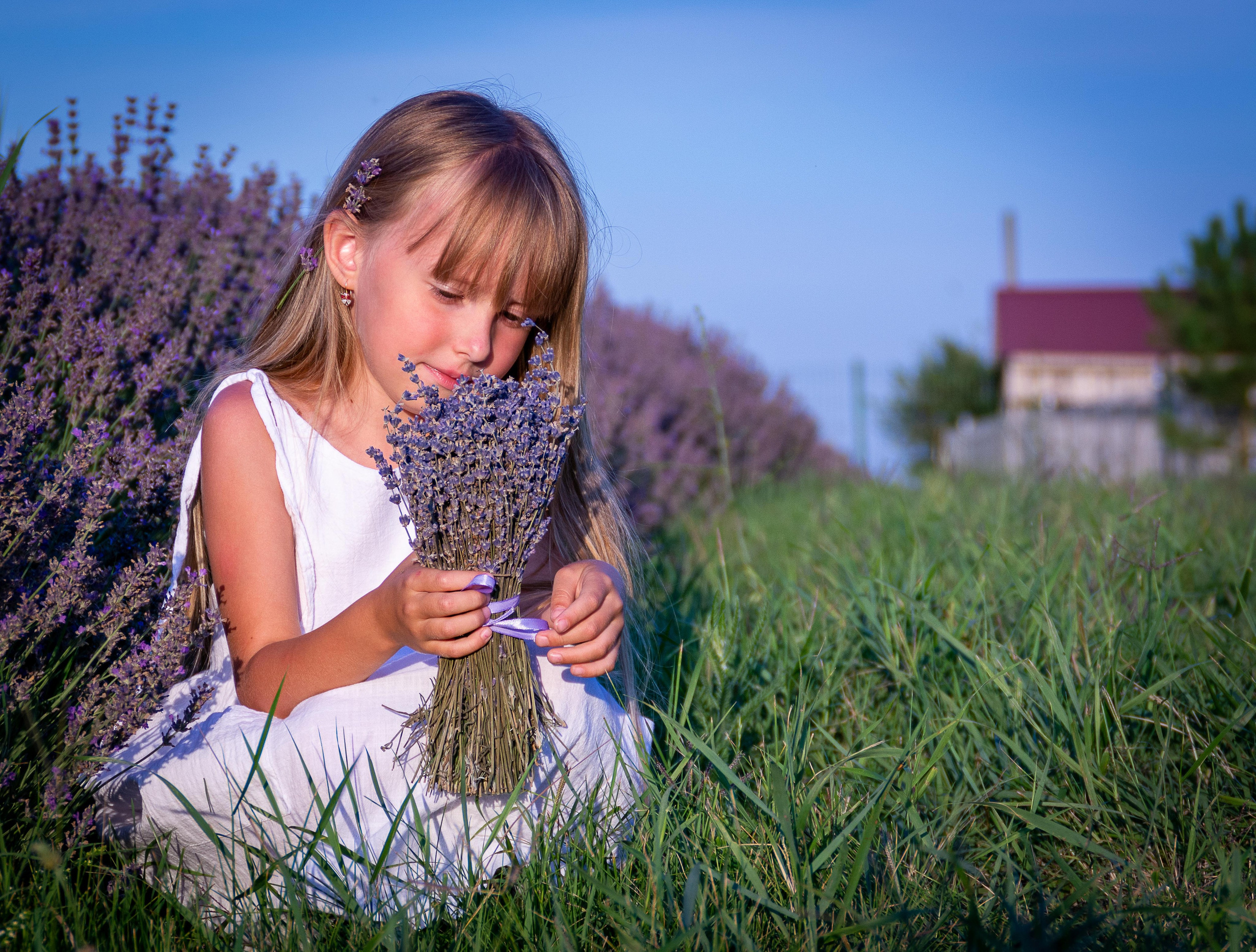 Фотографии в лавандовом поле. Елена Волкова семейный фотограф в станице Гостагаевской города-курорта Анапа