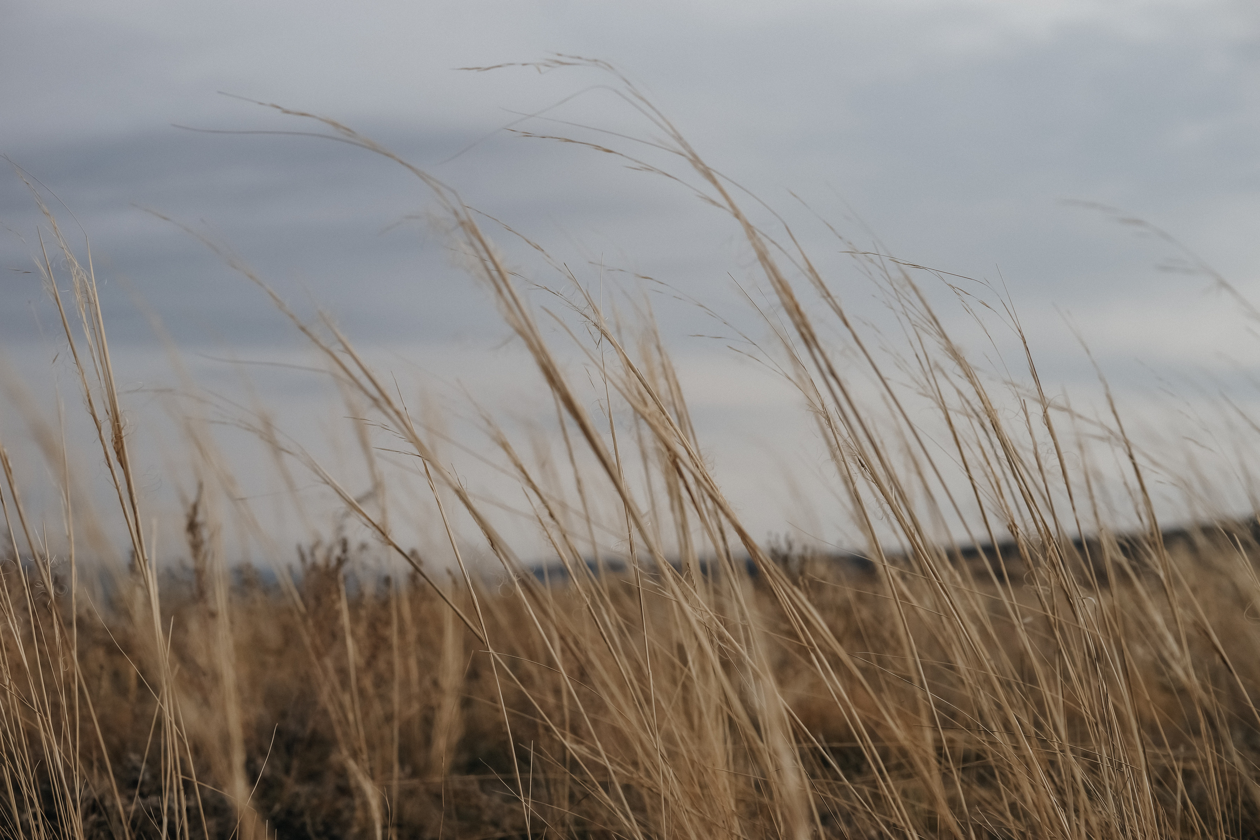 Петр и Лиза. Ольга Плаксина фотограф в Саратове