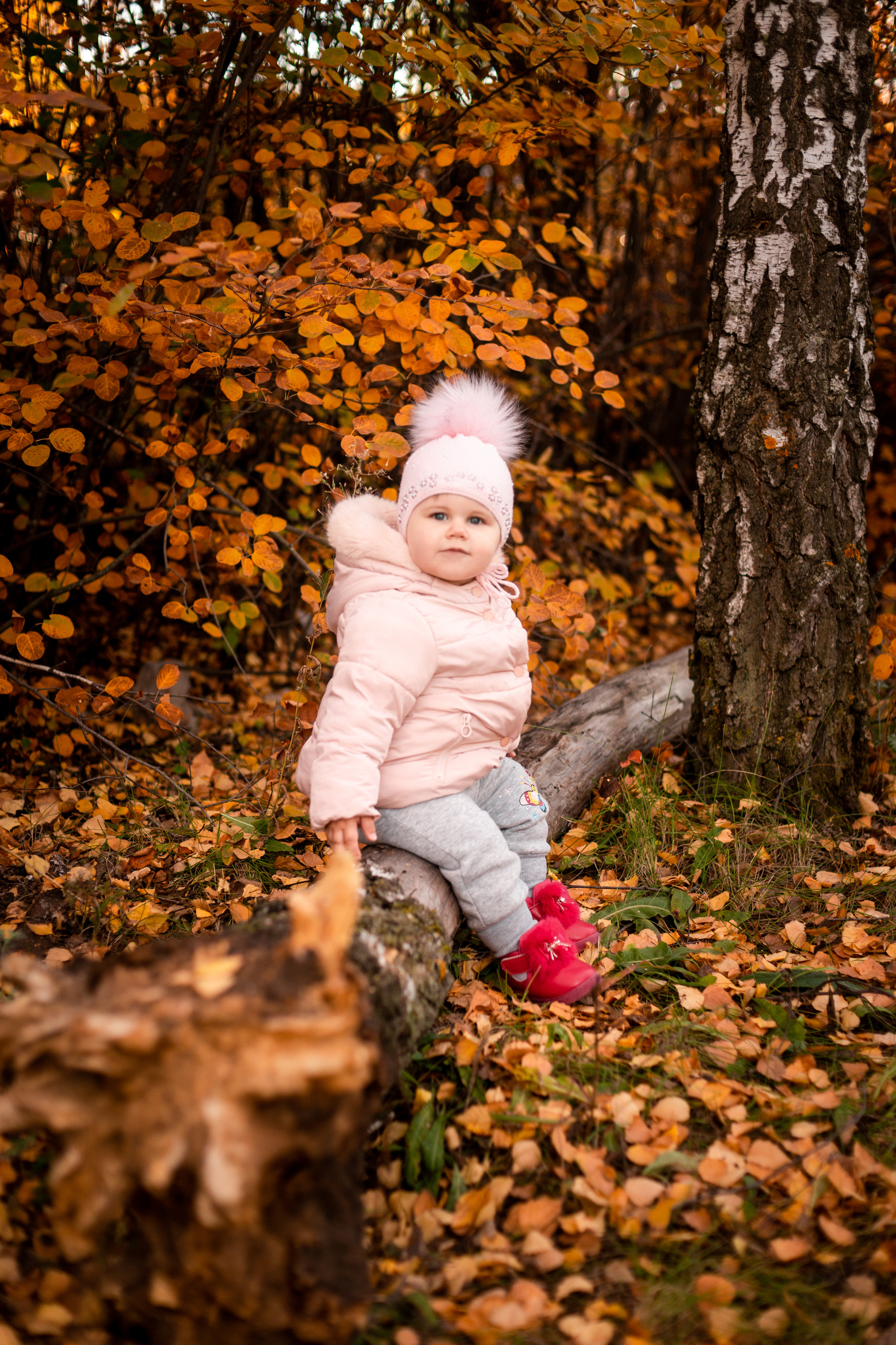Кристина и Софи —осенняя прогулка. Ольга Плаксина фотограф в Саратове